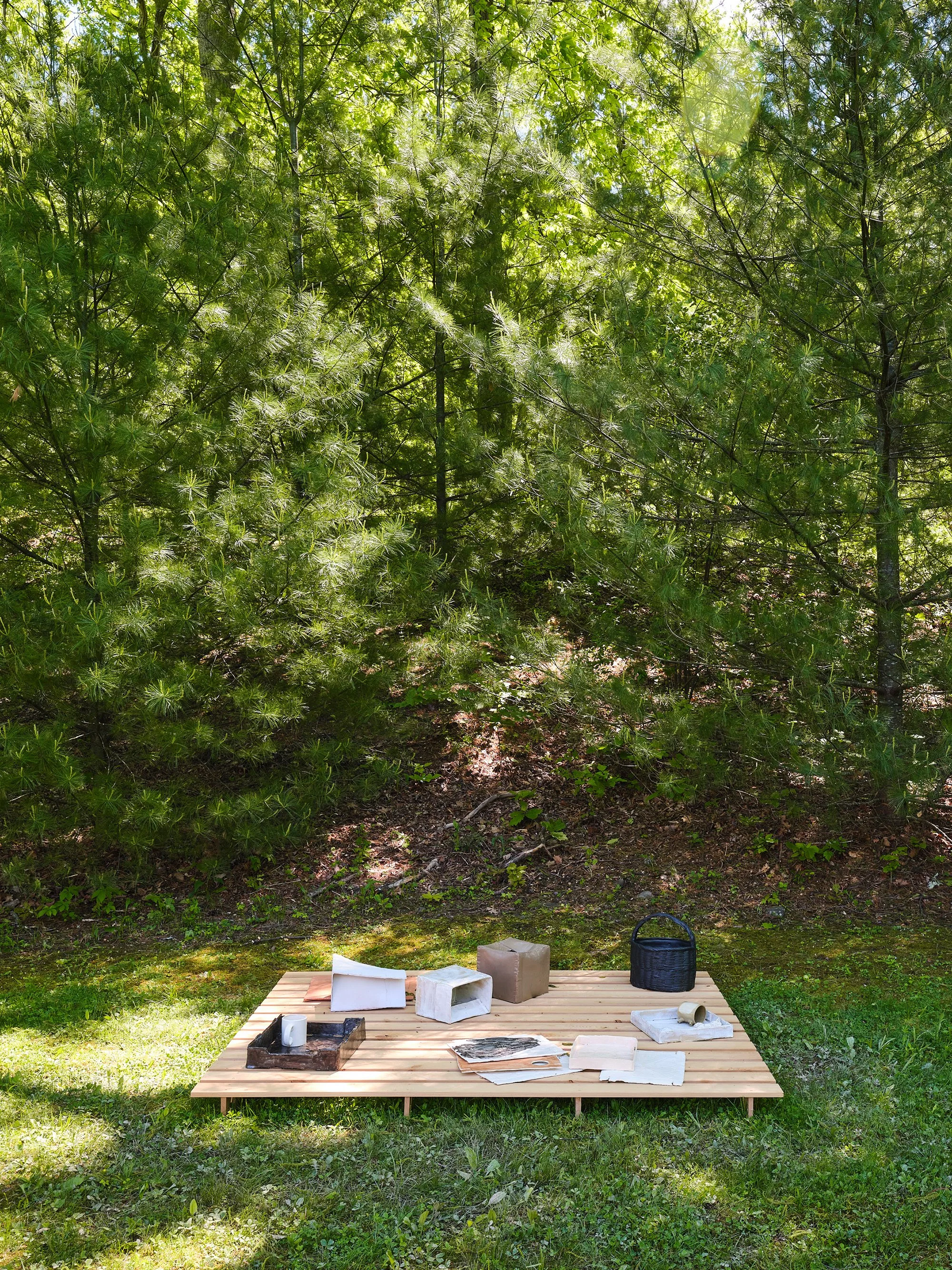 Installation view (Lauren Anderson)