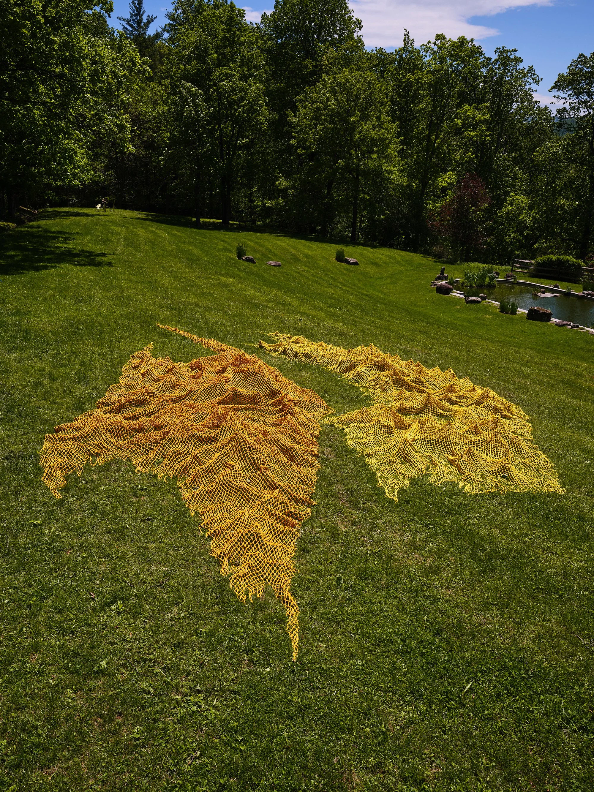 Installation view (Rachel Mica Weiss)