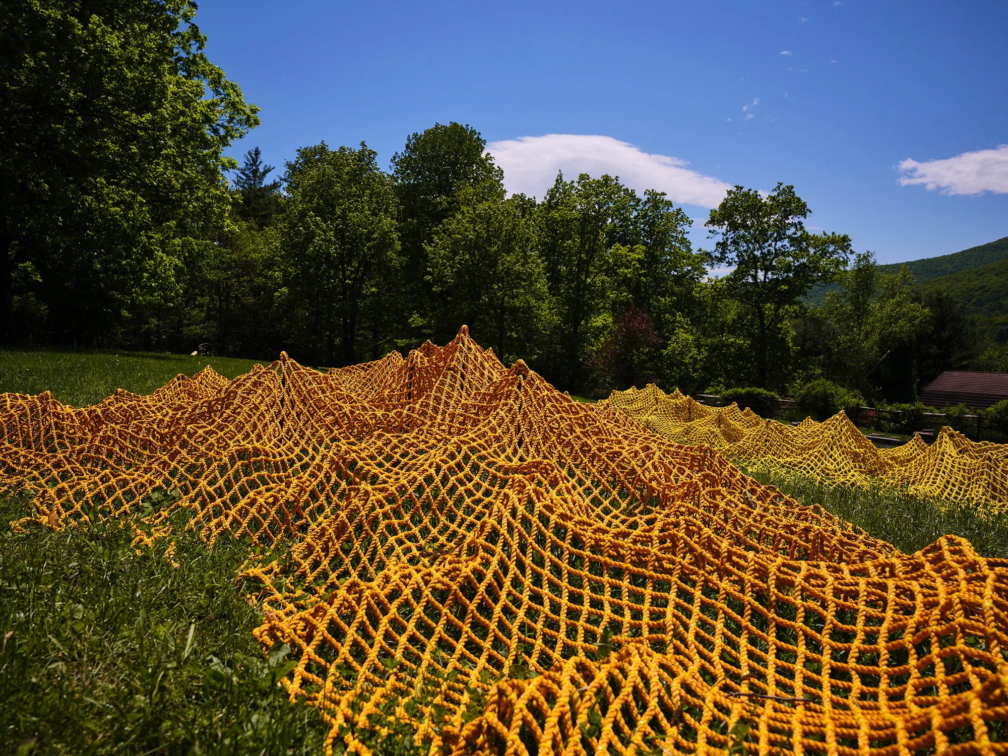 Installation view (Rachel Mica Weiss)