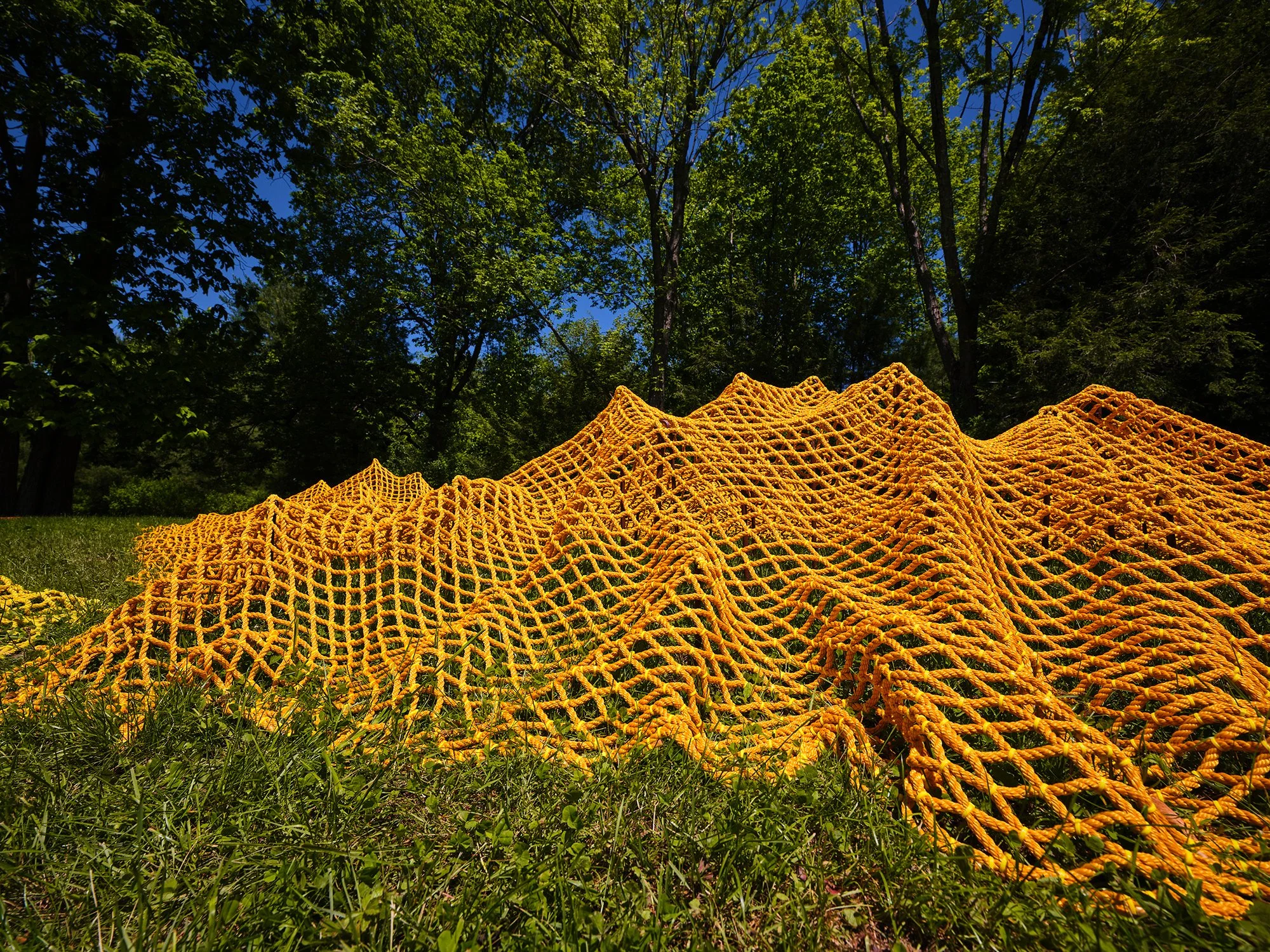Installation view (Rachel Mica Weiss)
