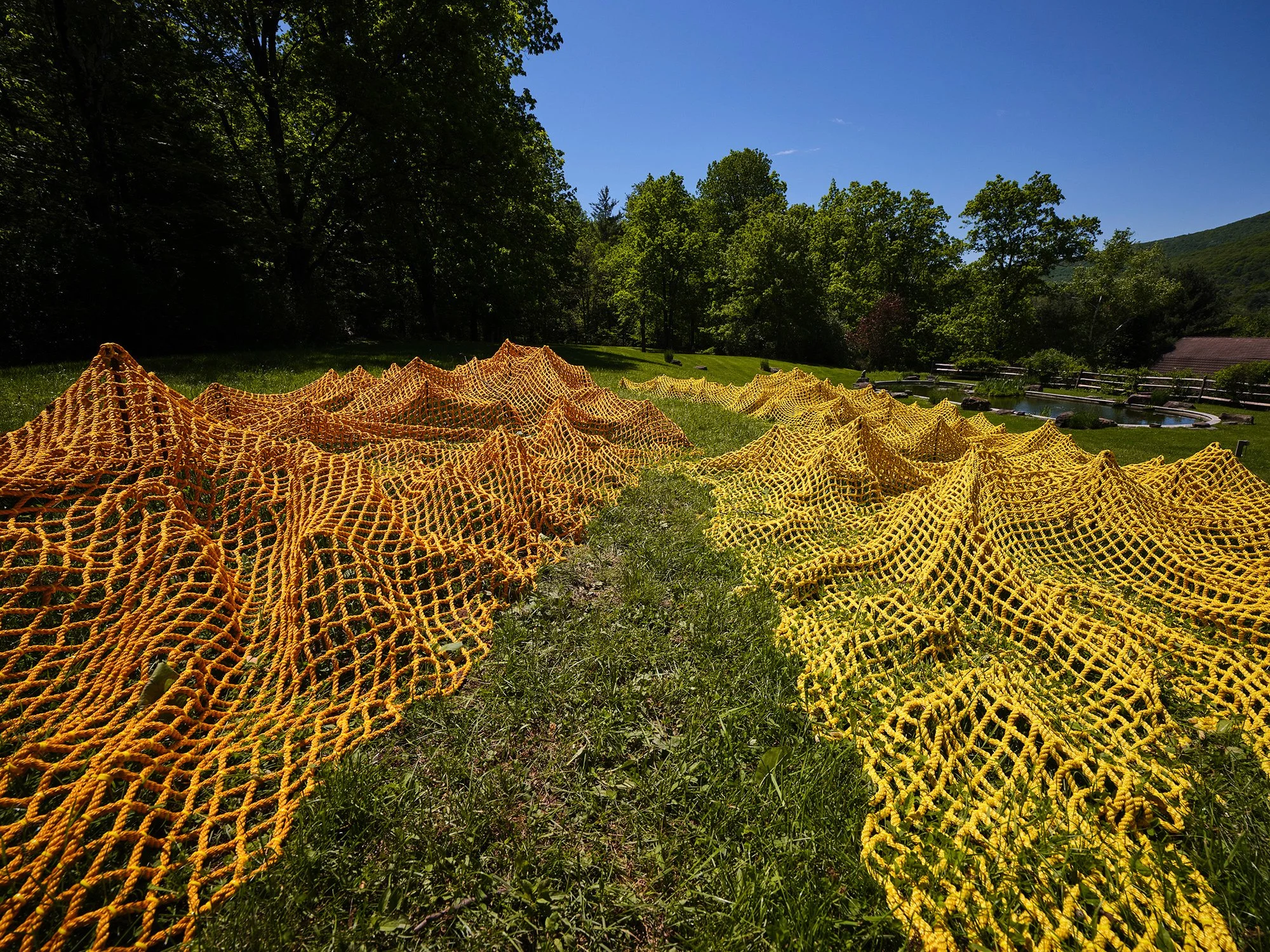 Installation view (Rachel Mica Weiss)