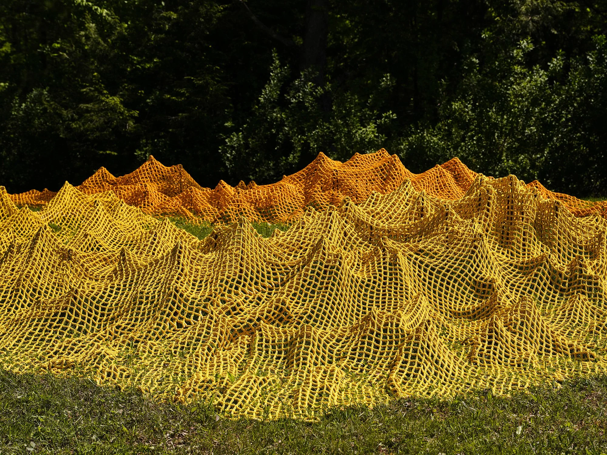 Installation view (Rachel Mica Weiss)
