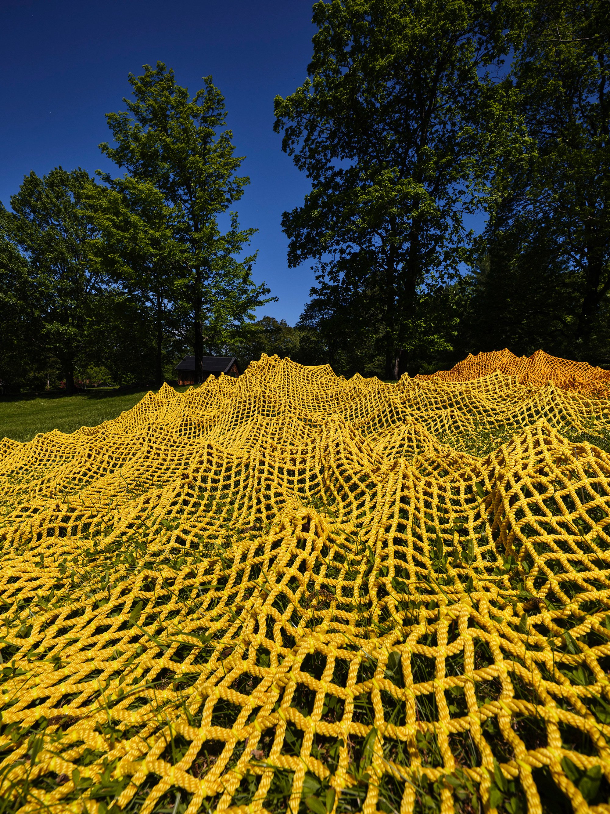 Installation view (Rachel Mica Weiss)