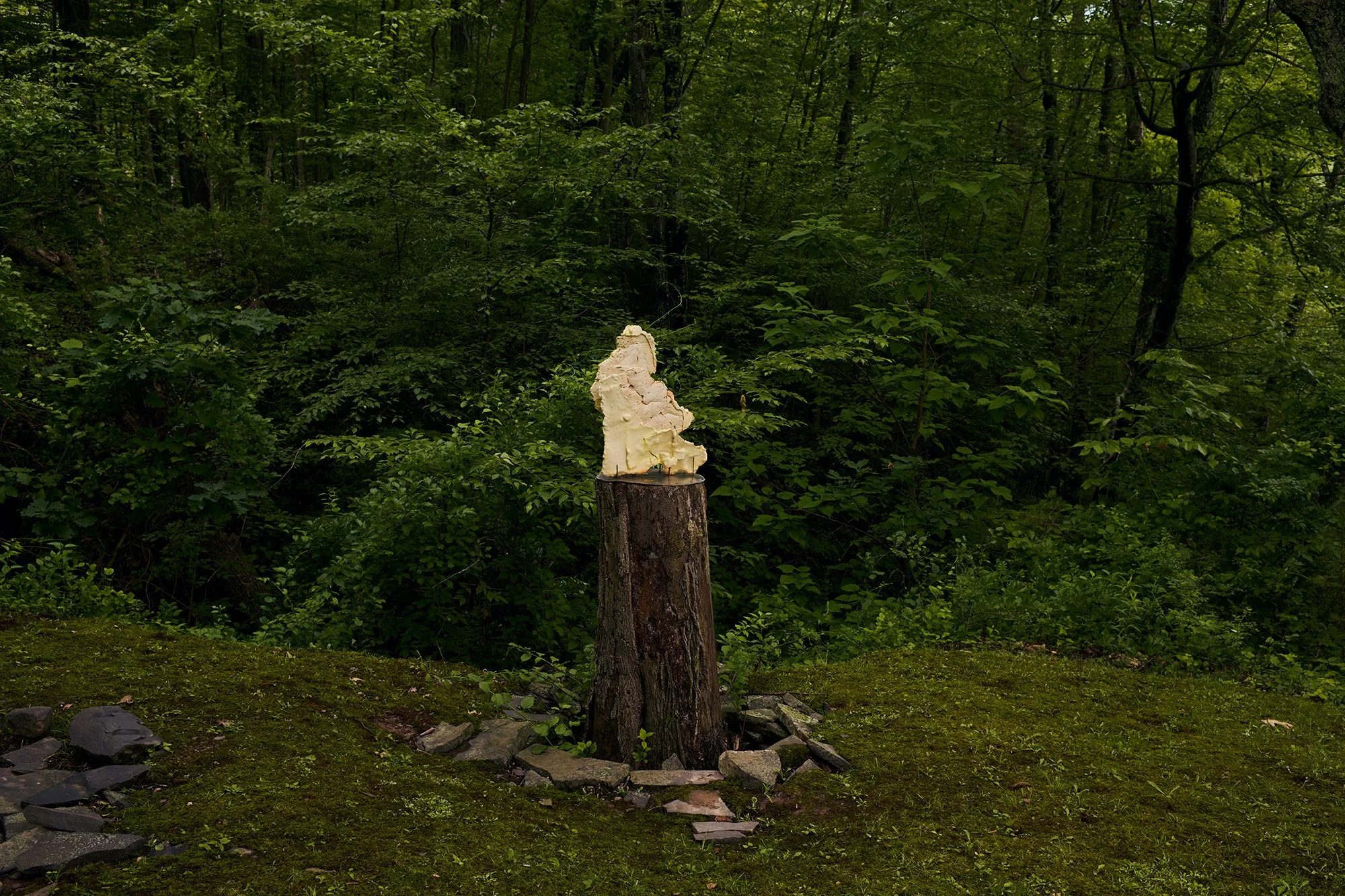 Installation view (Linnéa Gad)