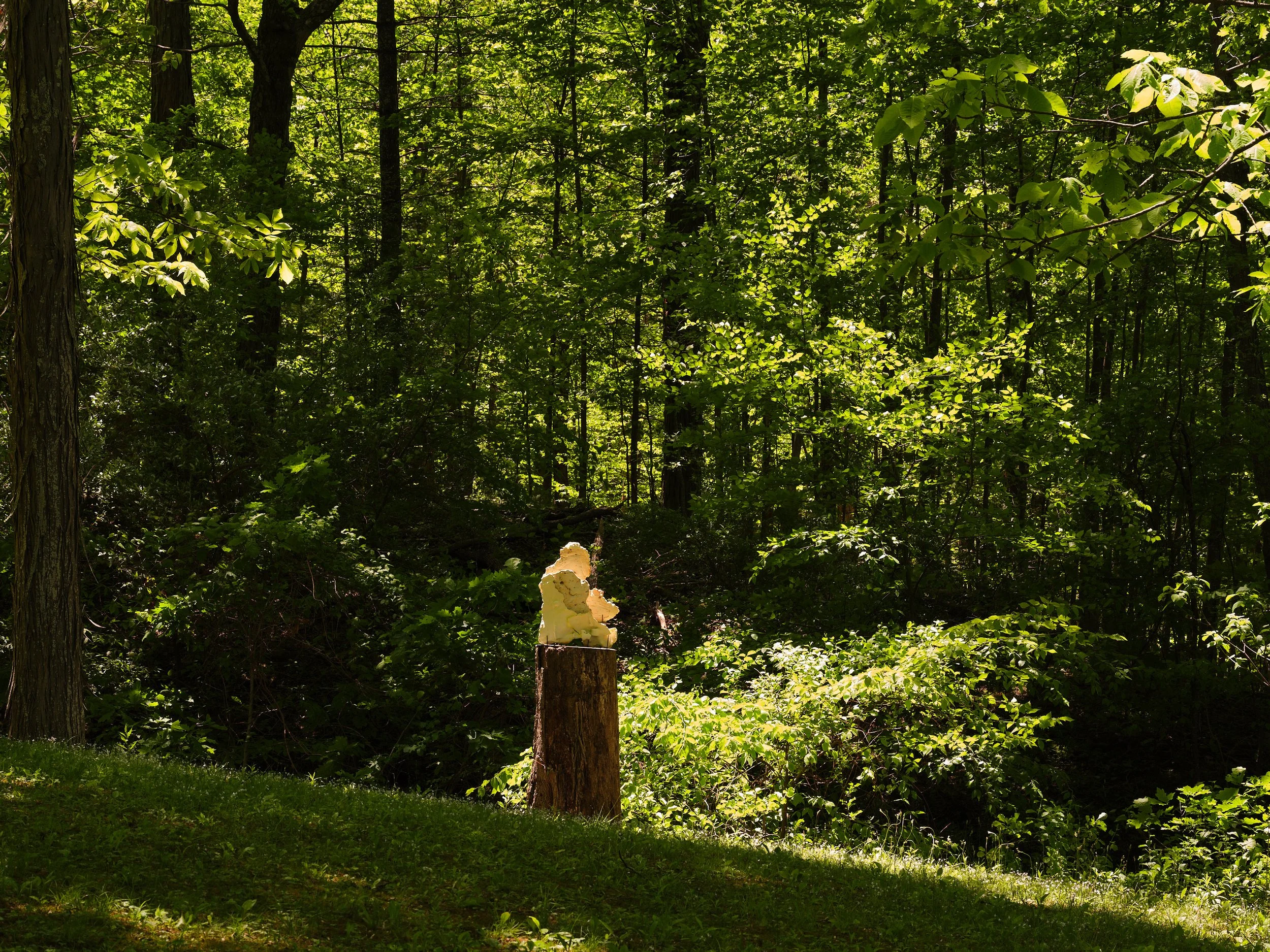 Installation view (Linnéa Gad)