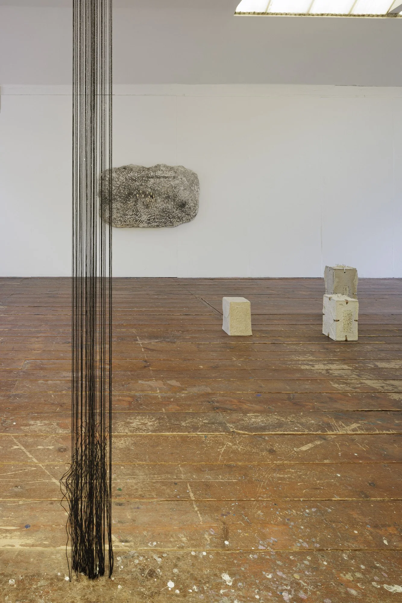 Installation view (Mikayla Patton)