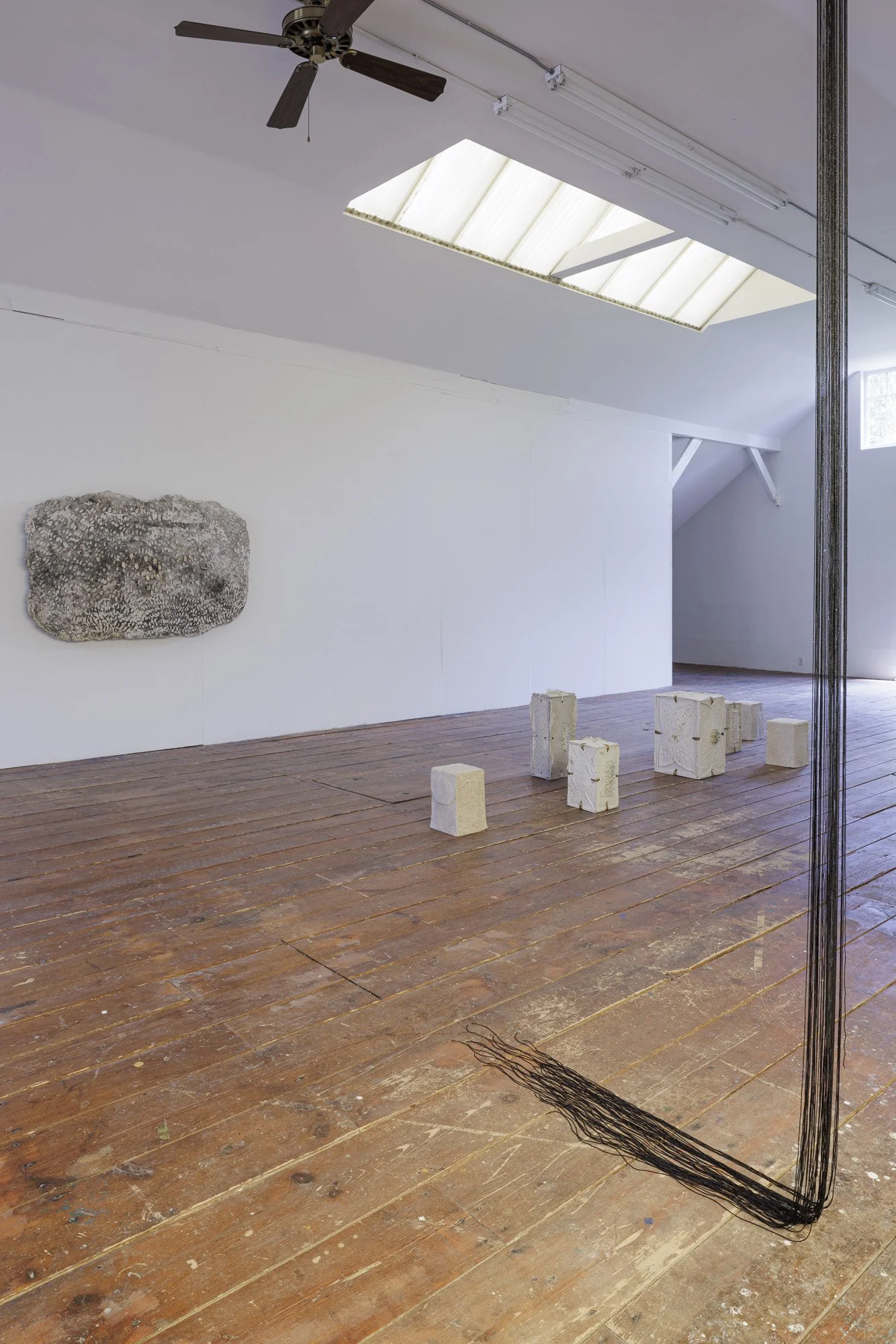 Installation view (Mikayla Patton)