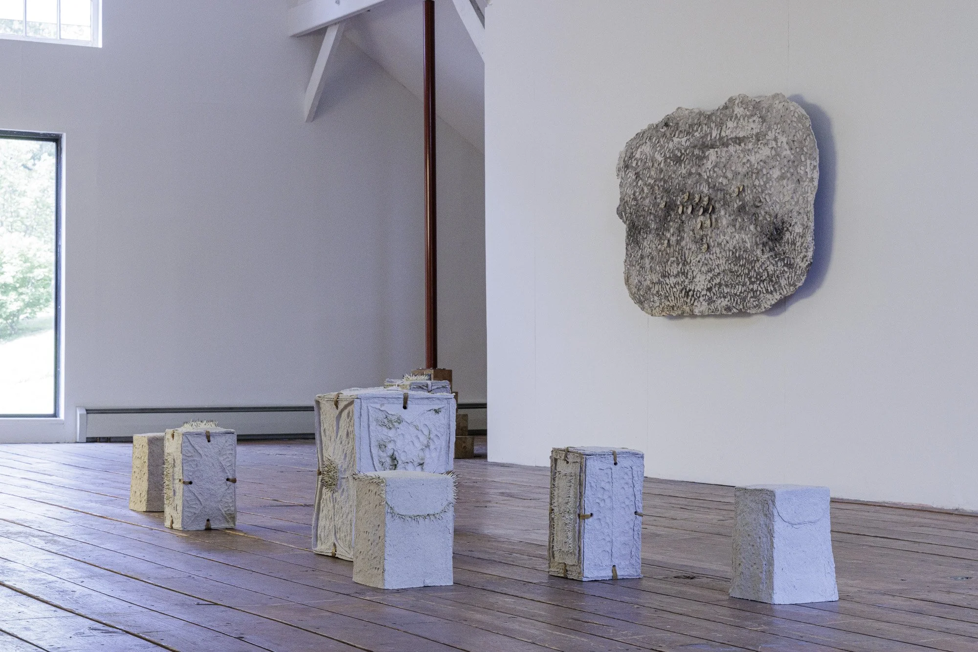 Installation view (Mikayla Patton)