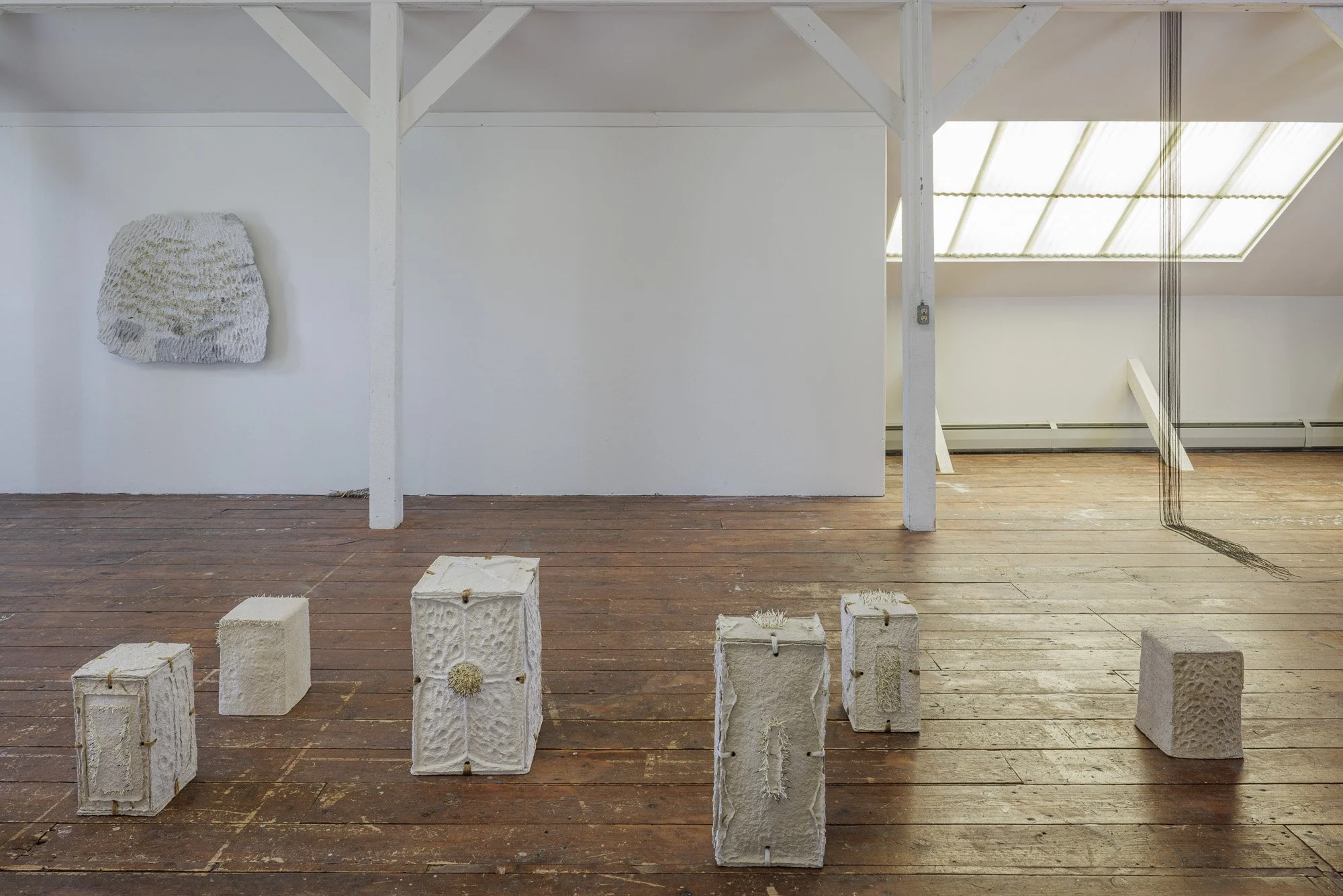 Installation view (Mikayla Patton)