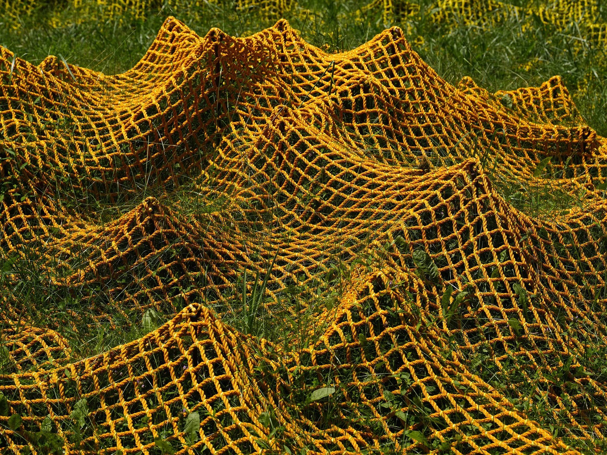 Installation view (Rachel Mica Weiss)