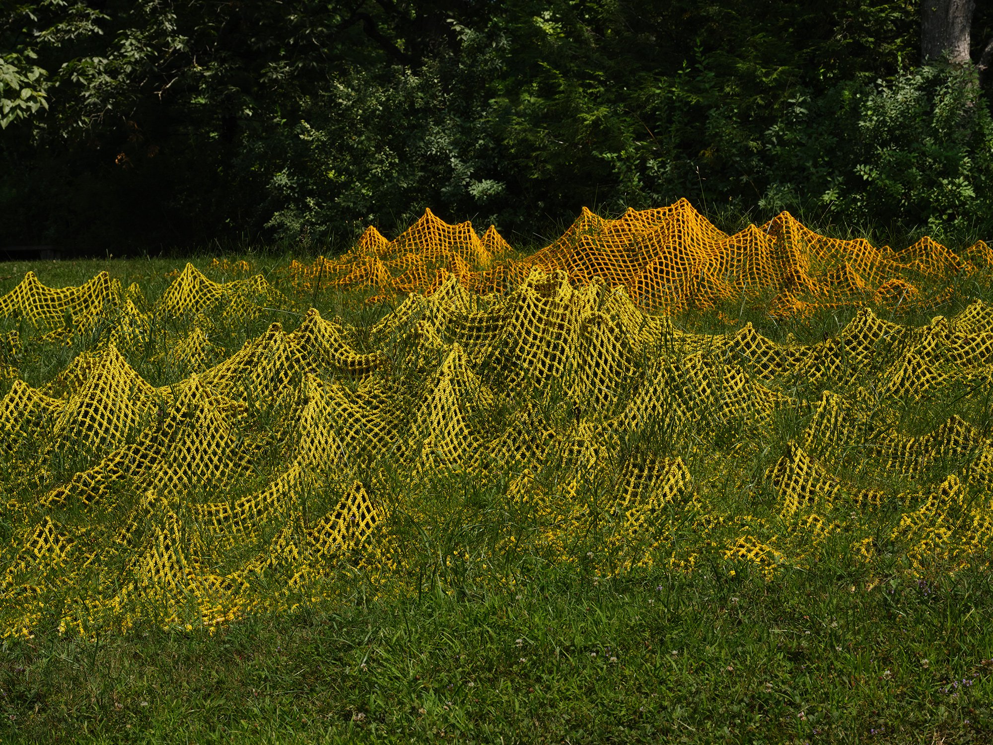 Installation view (Rachel Mica Weiss)