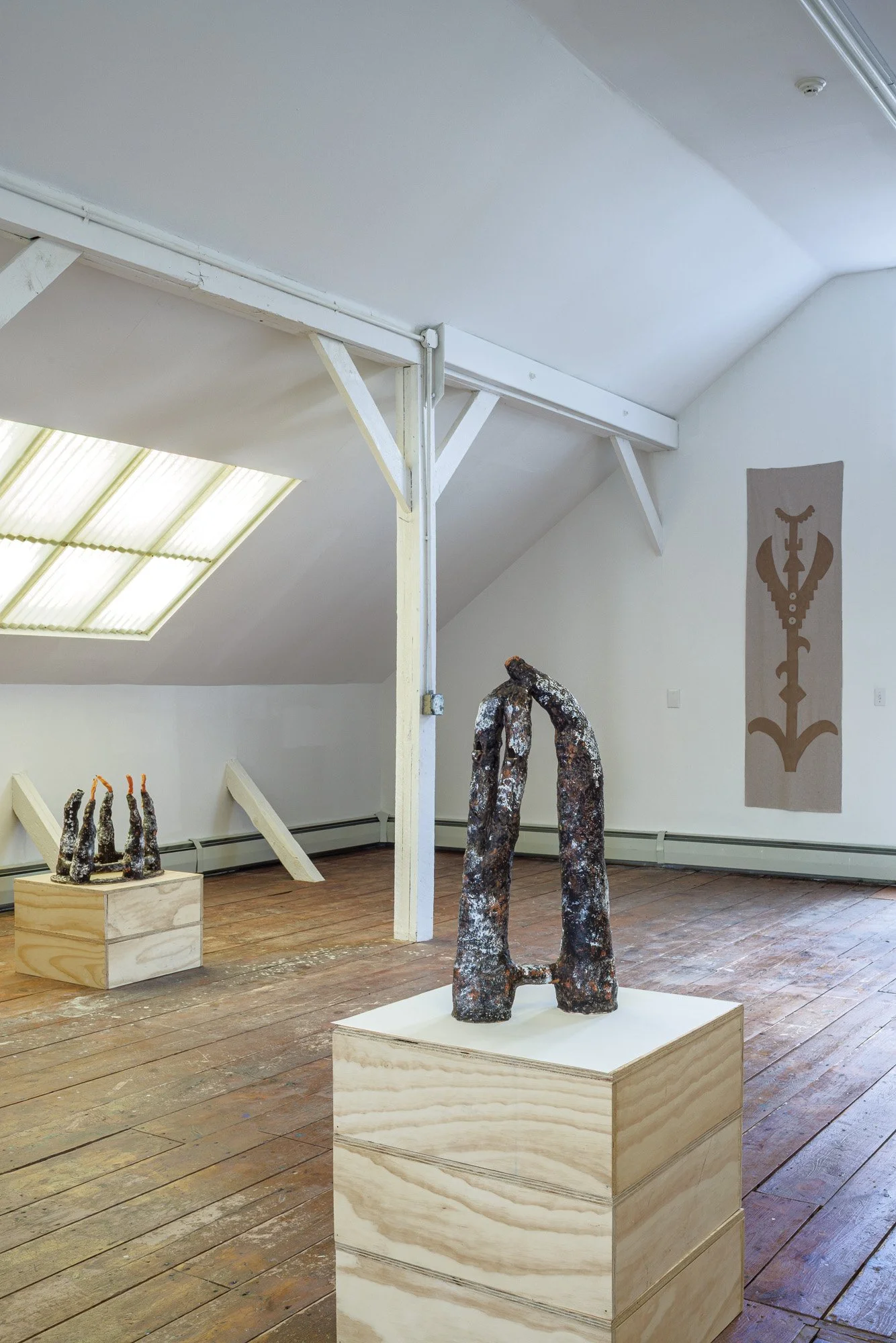 Installation view (Koyotlzintli)