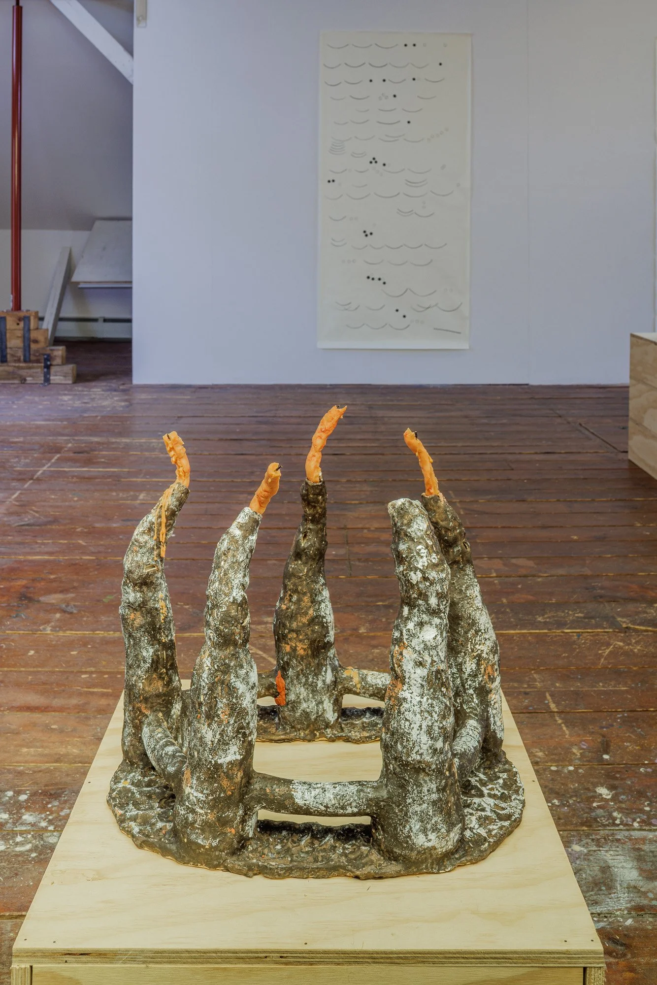 Installation view (Koyotlzintli)
