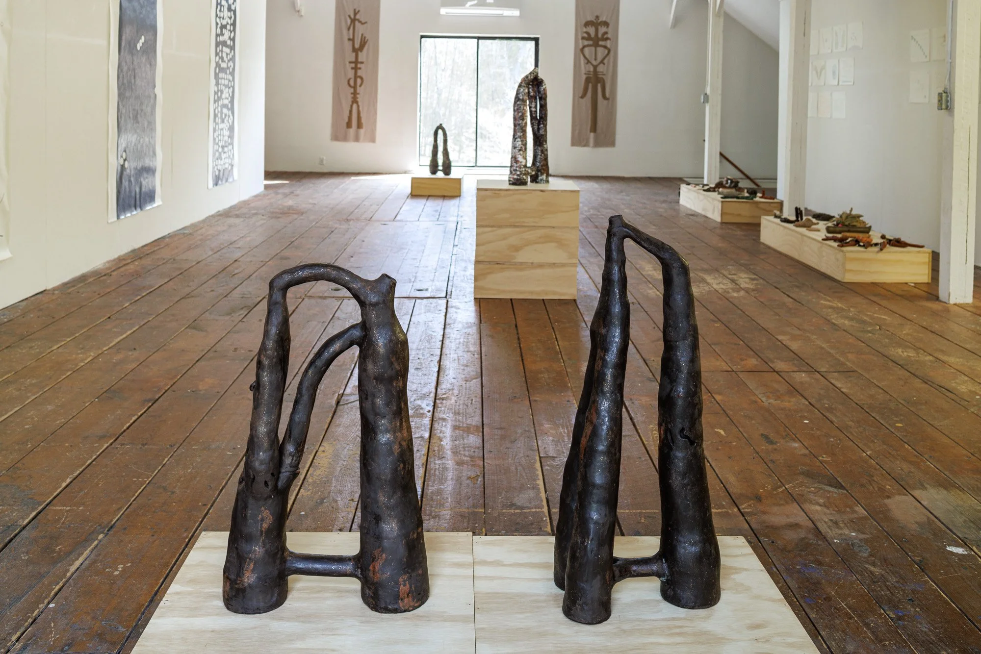 Installation view (Koyotlzintli)