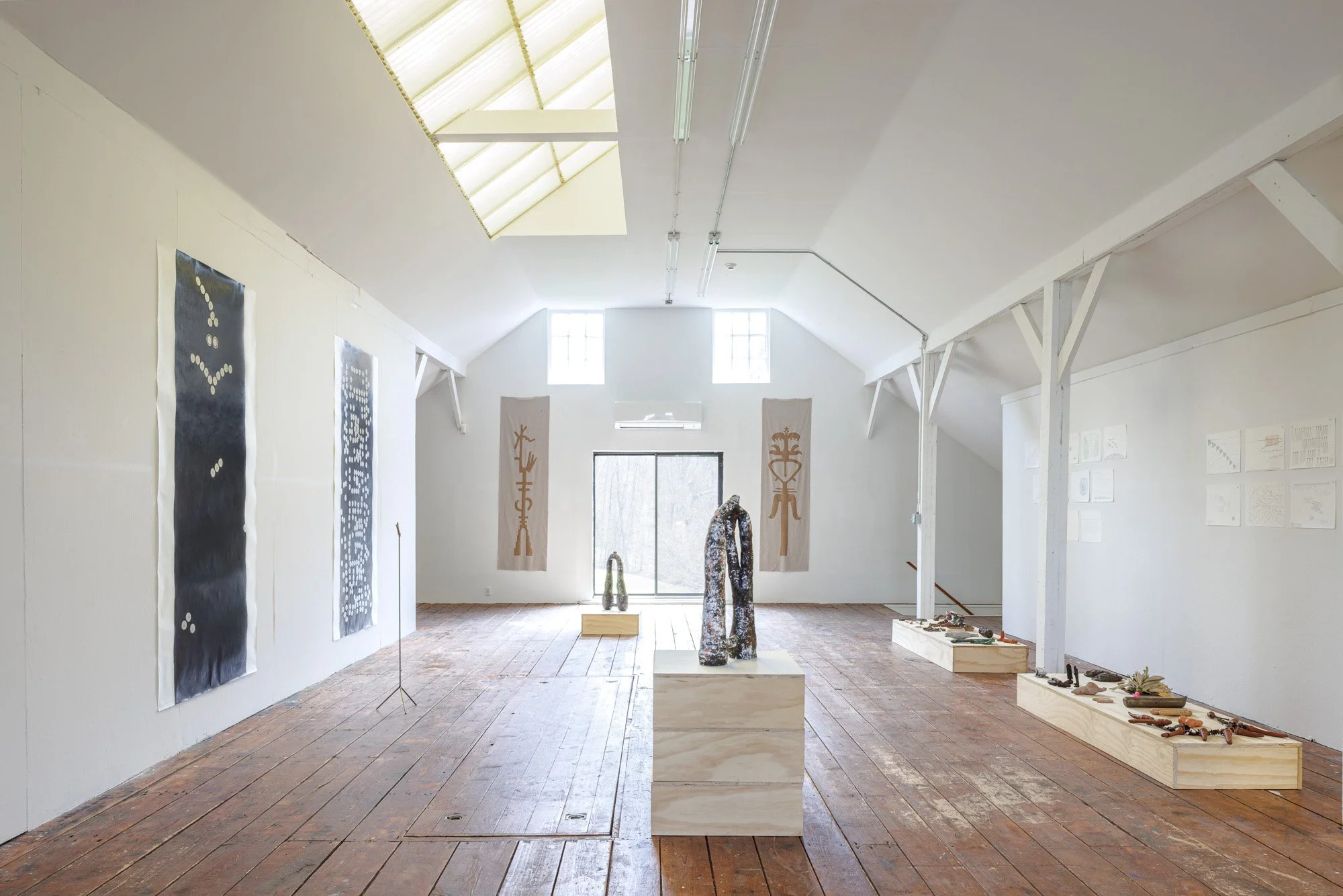 Installation view (Koyotlzintli)