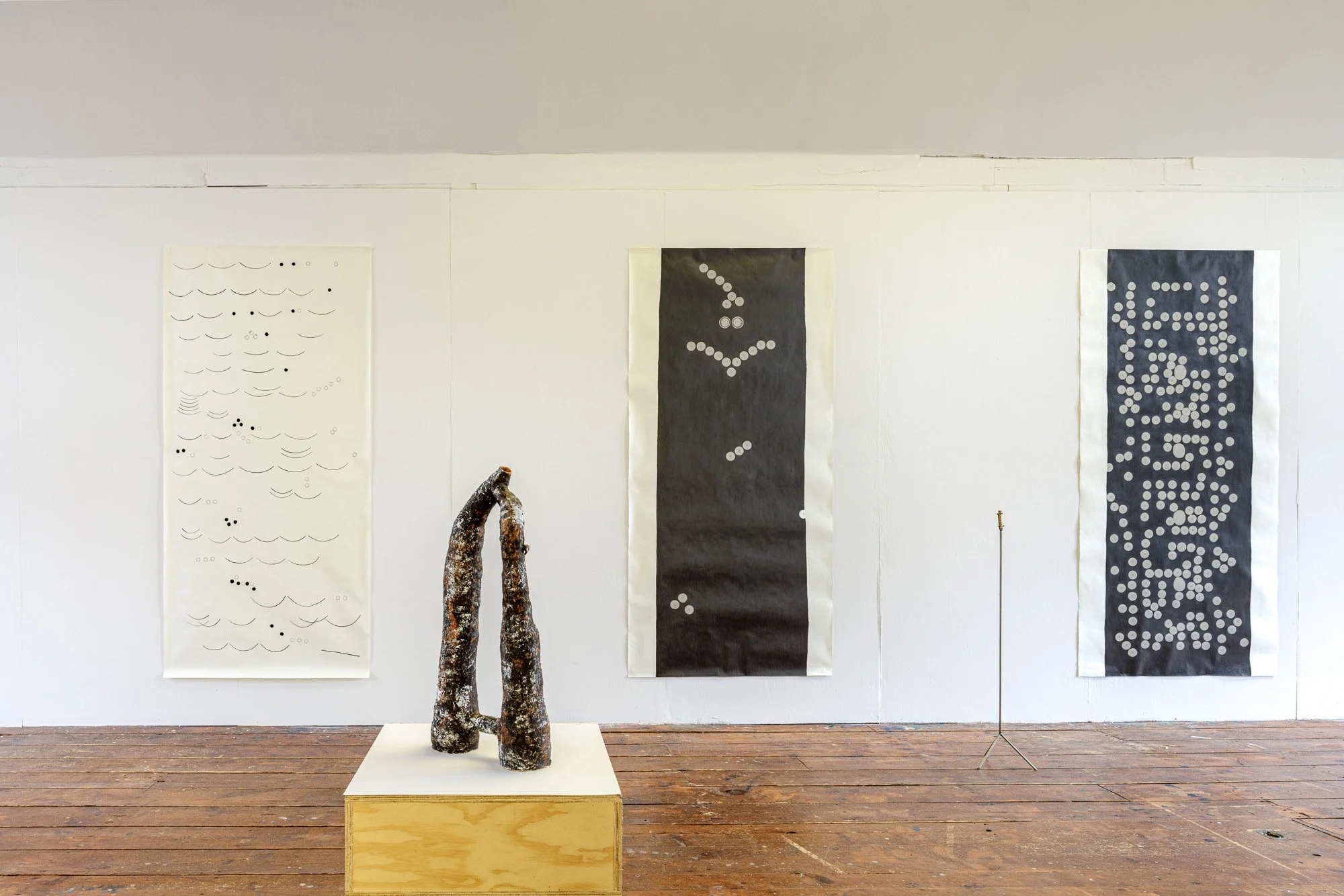 Installation view (Koyotlzintli)