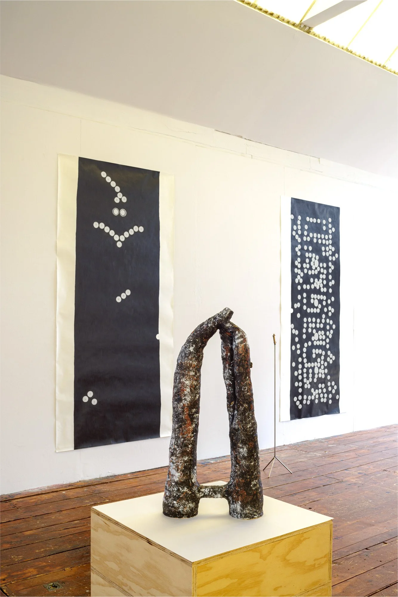 Installation view (Koyotlzintli)