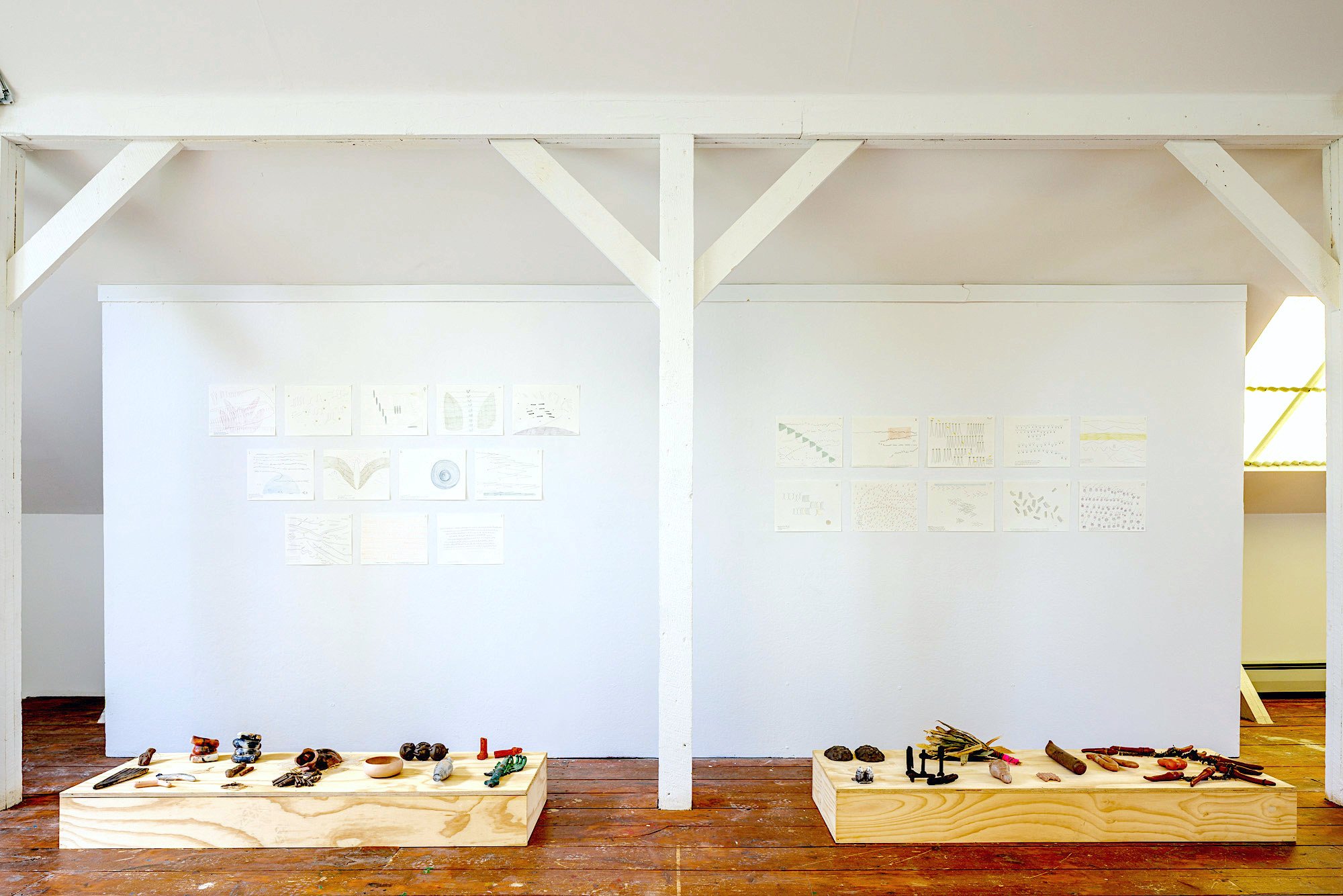 Installation view (Koyotlzintli)