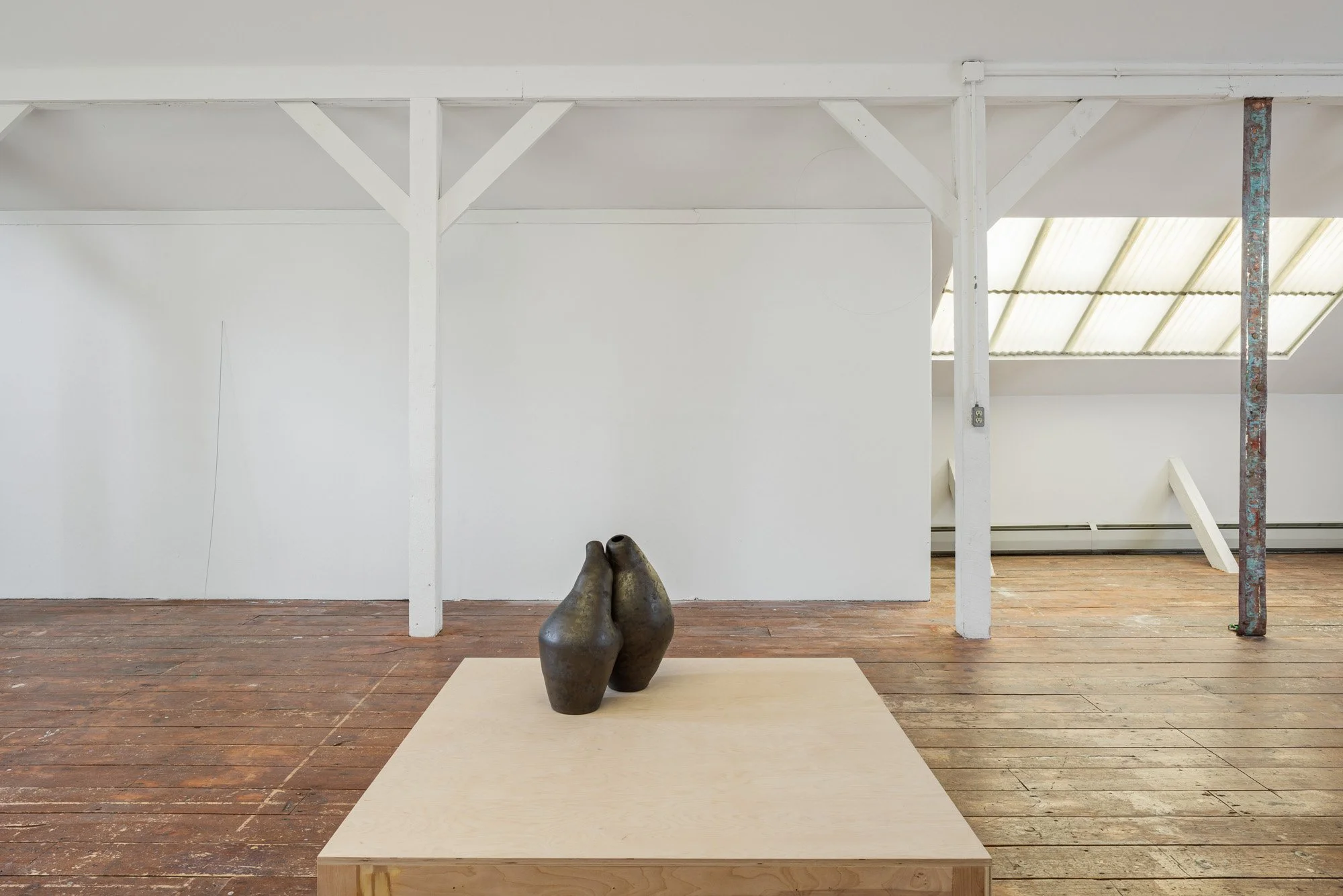 Installation view (Julianne Swartz)