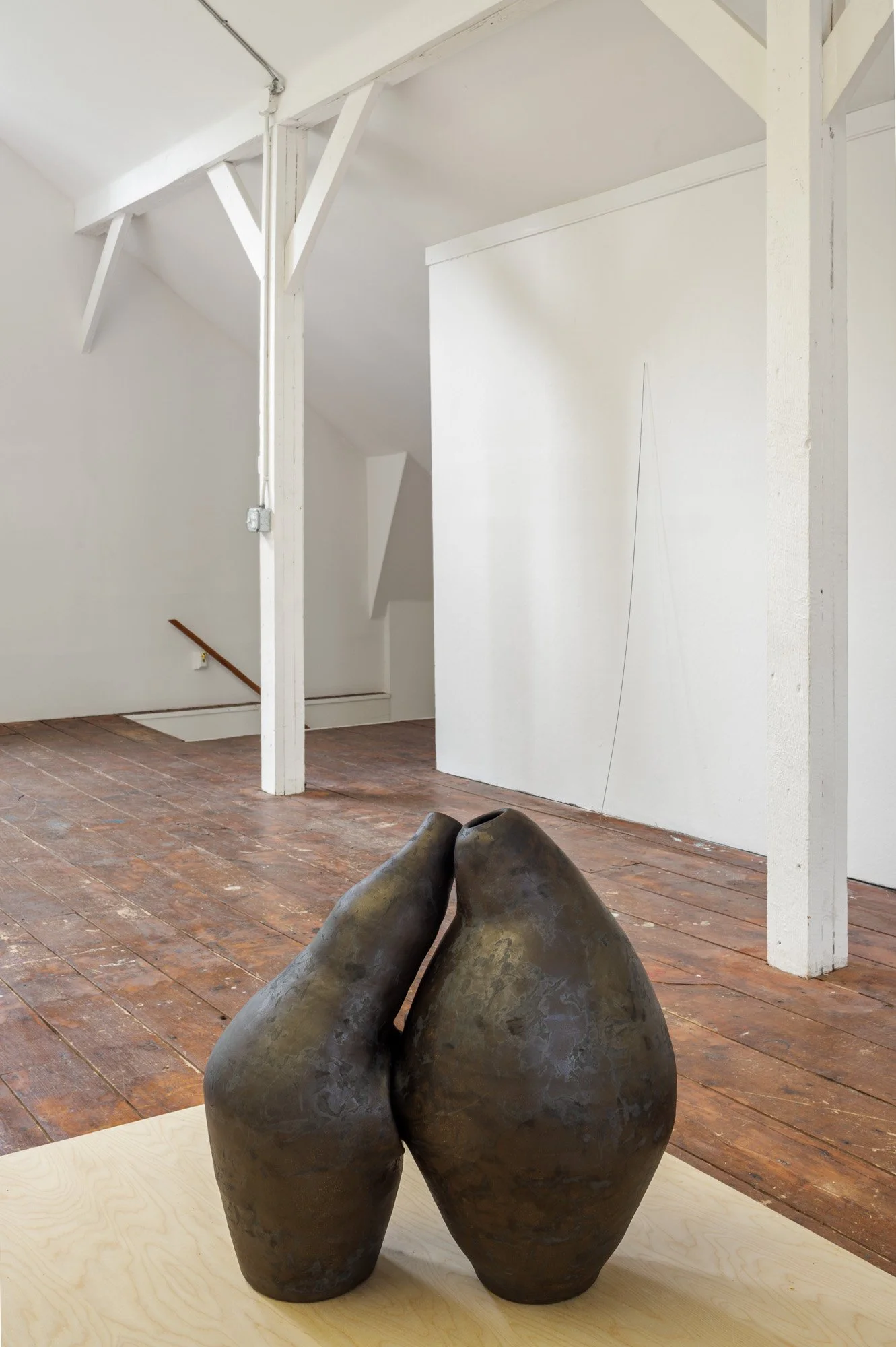 Installation view (Julianne Swartz)