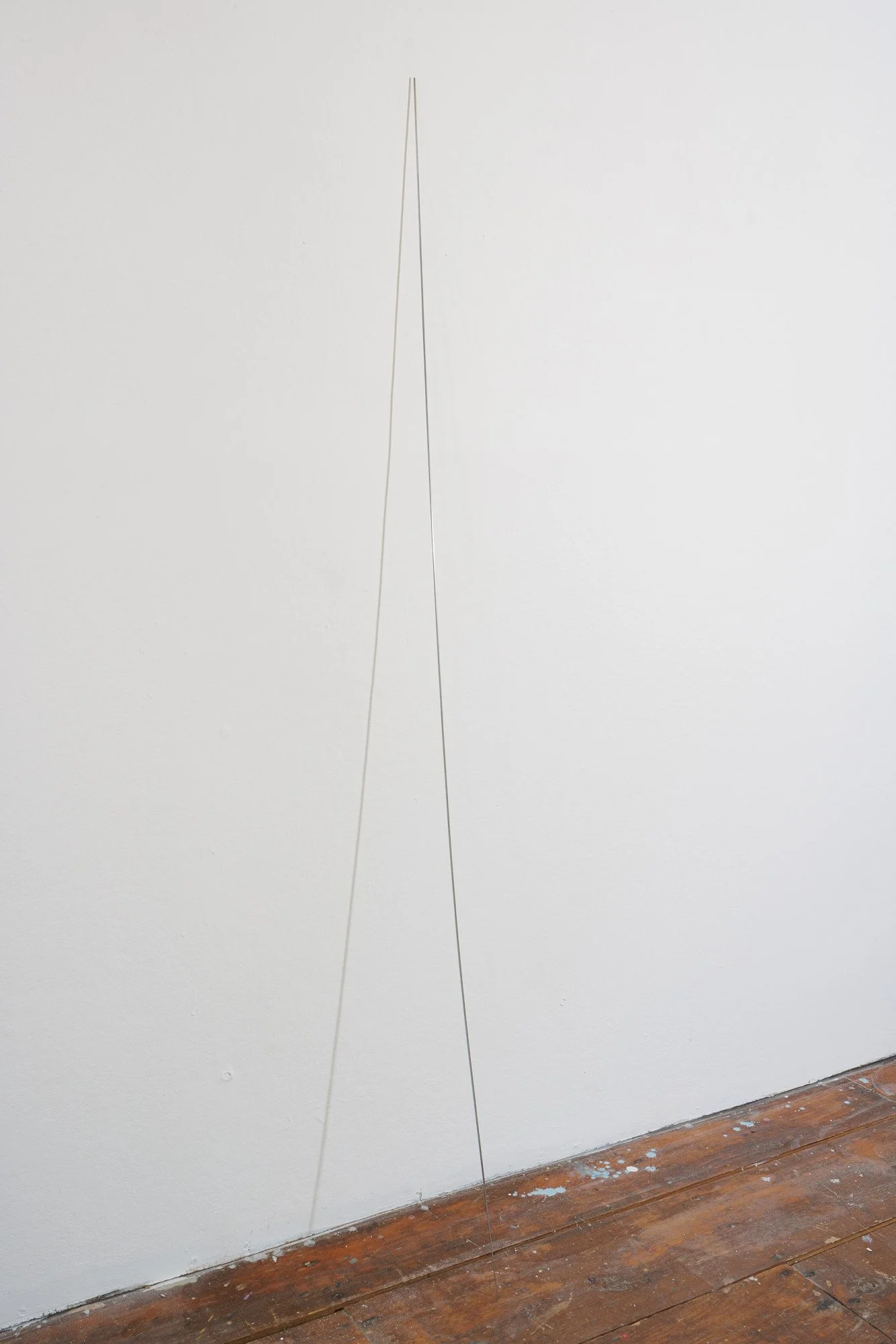 Julianne Swartz