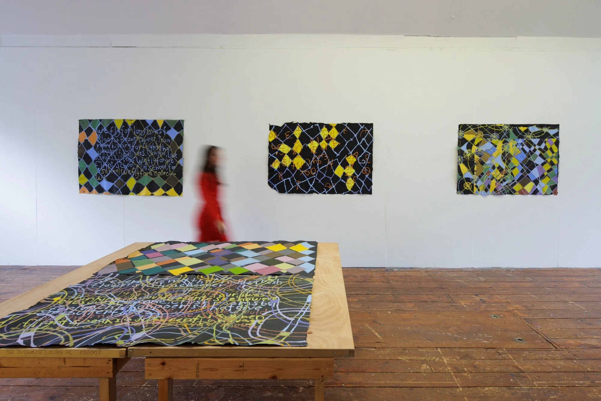 Installation view (Lukaza Branfman-Verissimo)