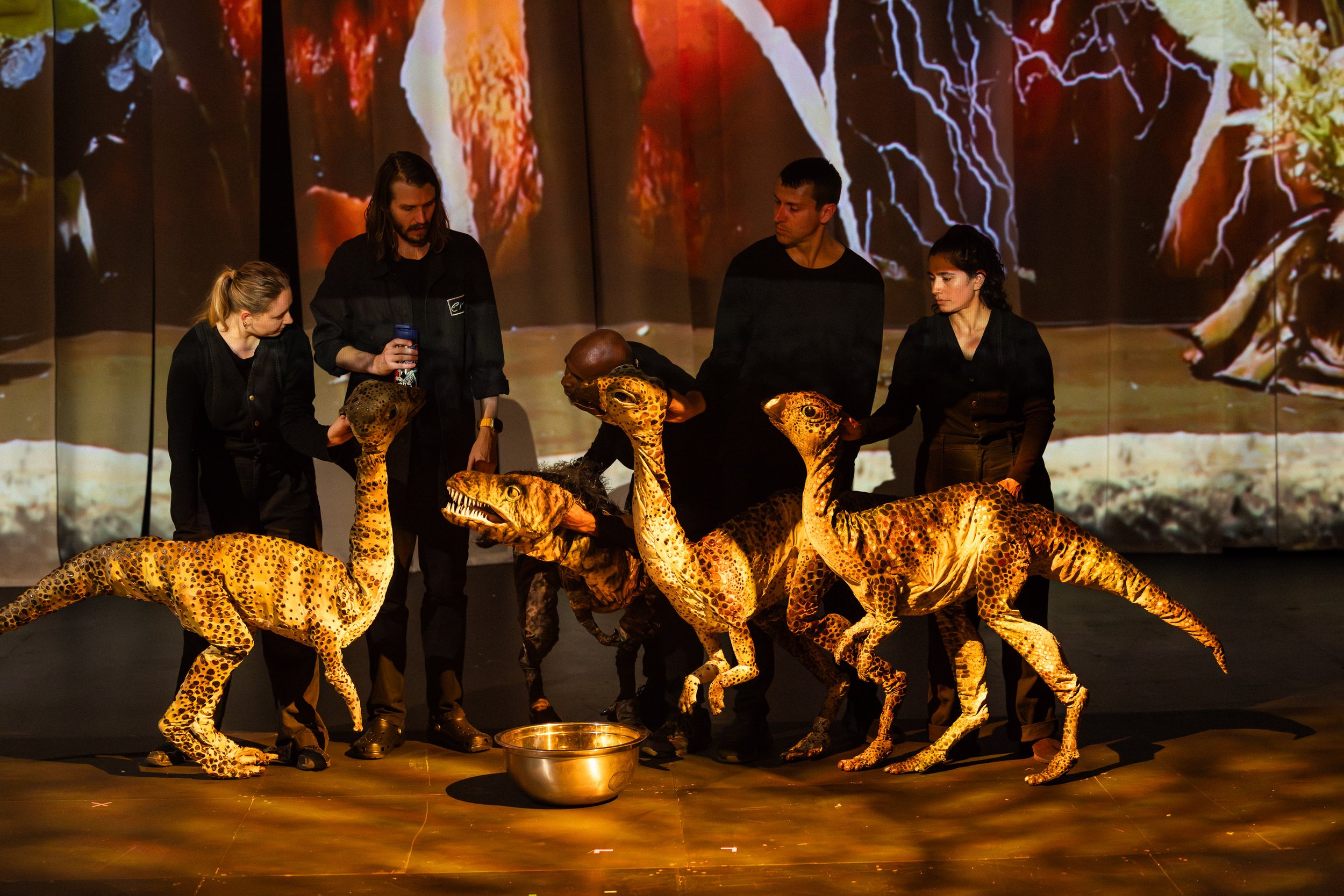 Erths Dinosaurs_Sydney Opera House_credit_Daniel Boud_016.jpg