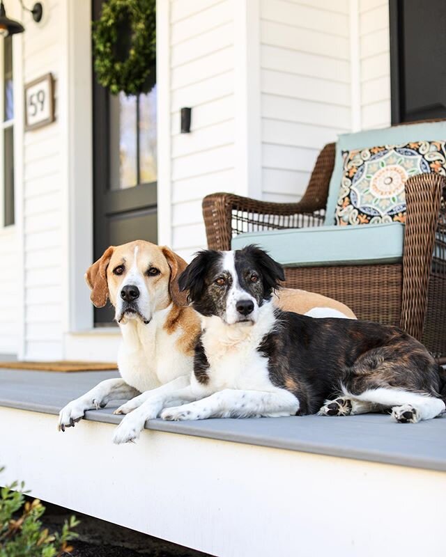 Love a pretty front porch, especially one the pups can enjoy🐶Lola and Miley are tired of photoshoots! Ready to get back to photographing houses.