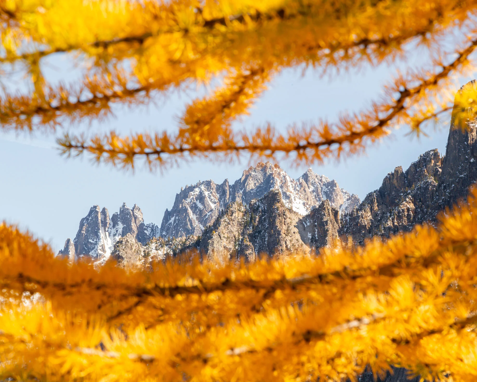 2019_10_CutthroatPass_054.jpg