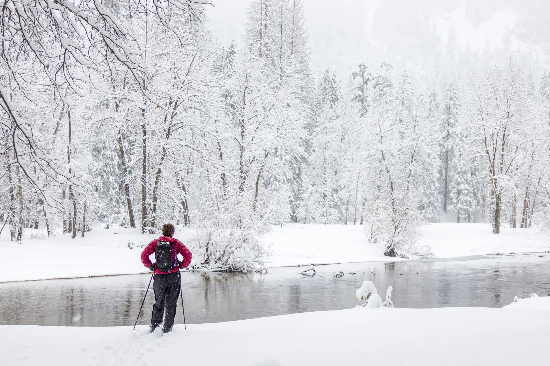 2019_02_YosemiteSnow_101.jpg