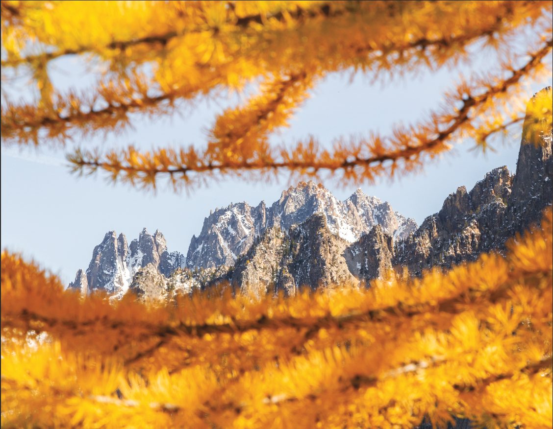 Screen Shot 2019-12-04 at 10.49.30 AM.png