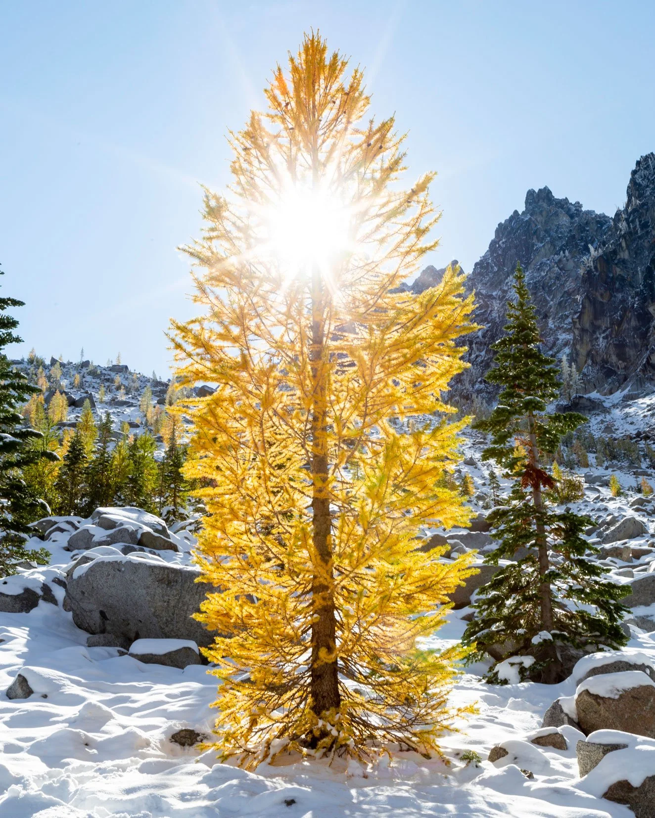 2019_09_Enchantments_316.jpg