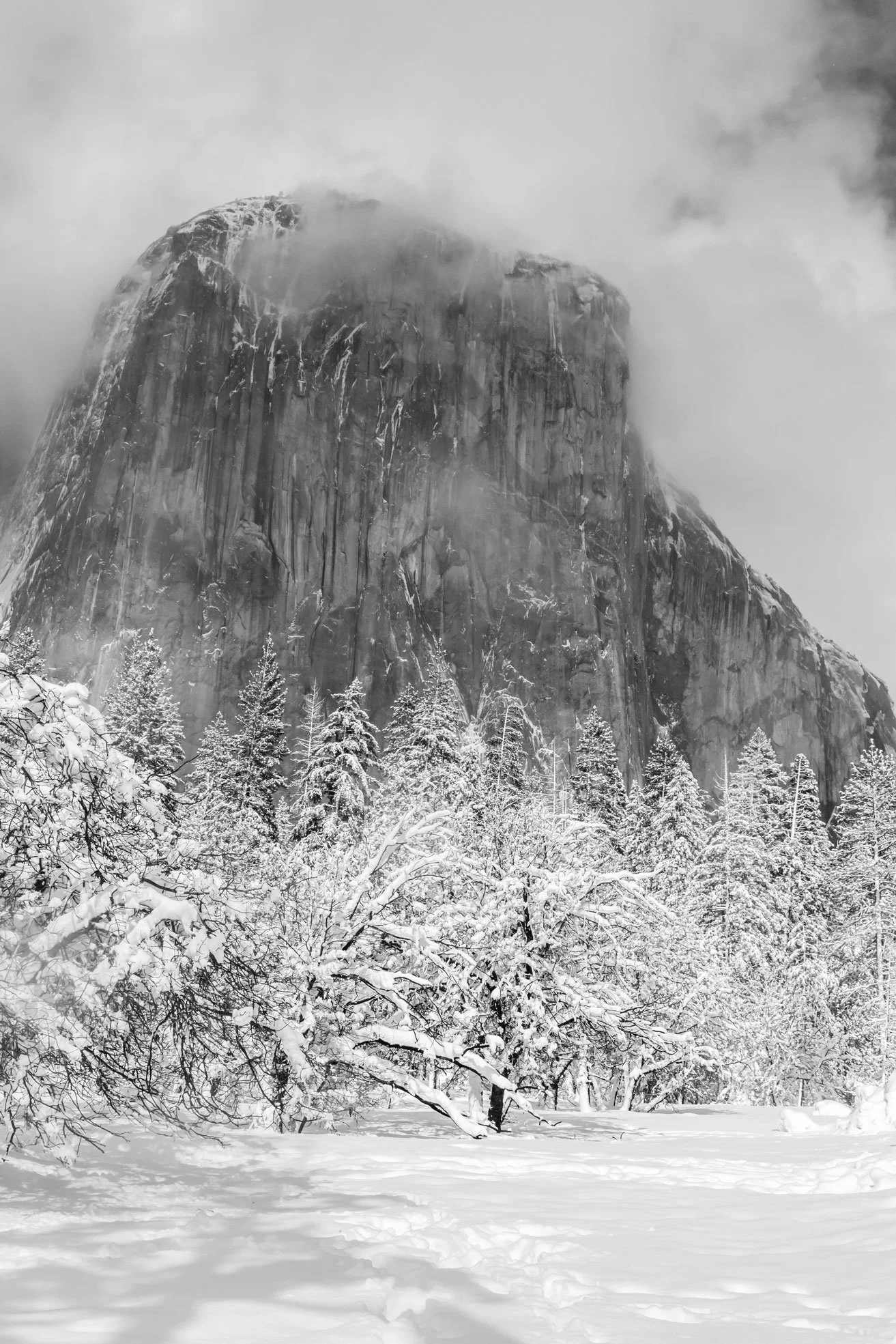 2019_02_YosemiteSnow_238.jpg