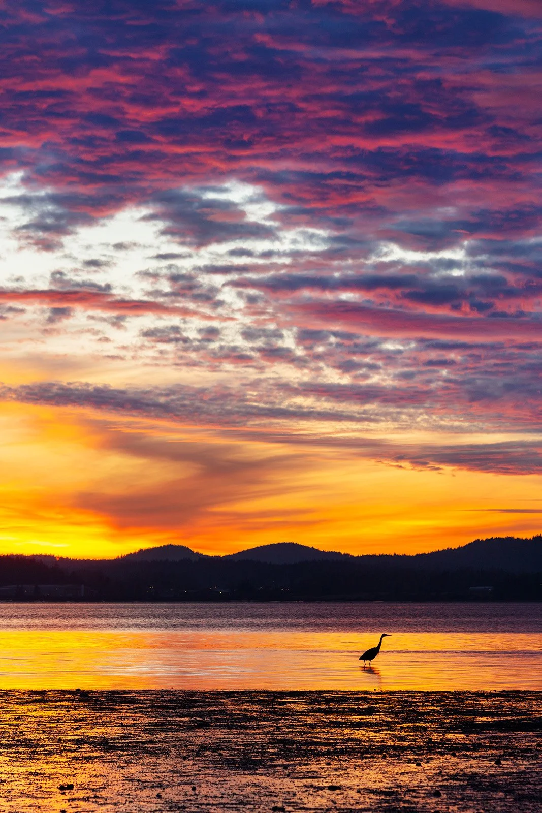 2021_01_HomeSunsets_052.jpg