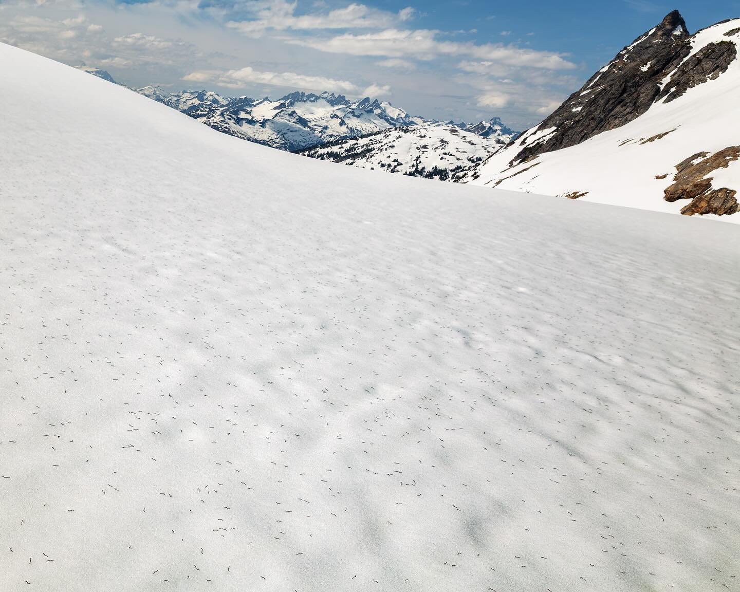 Day 2231: Glaciers are sometimes compared to living, breathing beings. They evolve as time goes on and live through seasonal cycles, bulking in the winter and wasting away under the hot summer sun. And while they may actually be more geologic than or