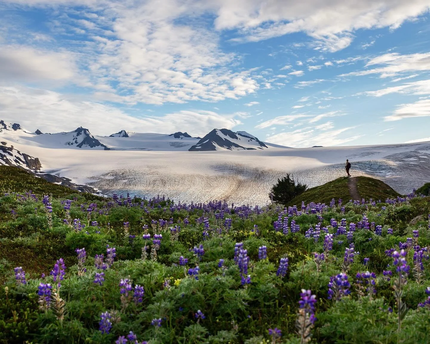 Day 2248: As the second part of my Alaskan nod to fat bear week, today I&rsquo;m highlighting Exit Glacier and the Harding Icefield. In a land known for glaciers, Exit Glacier in Kenai Fjords NP is one of the most famous glaciers in Alaska. Not for i