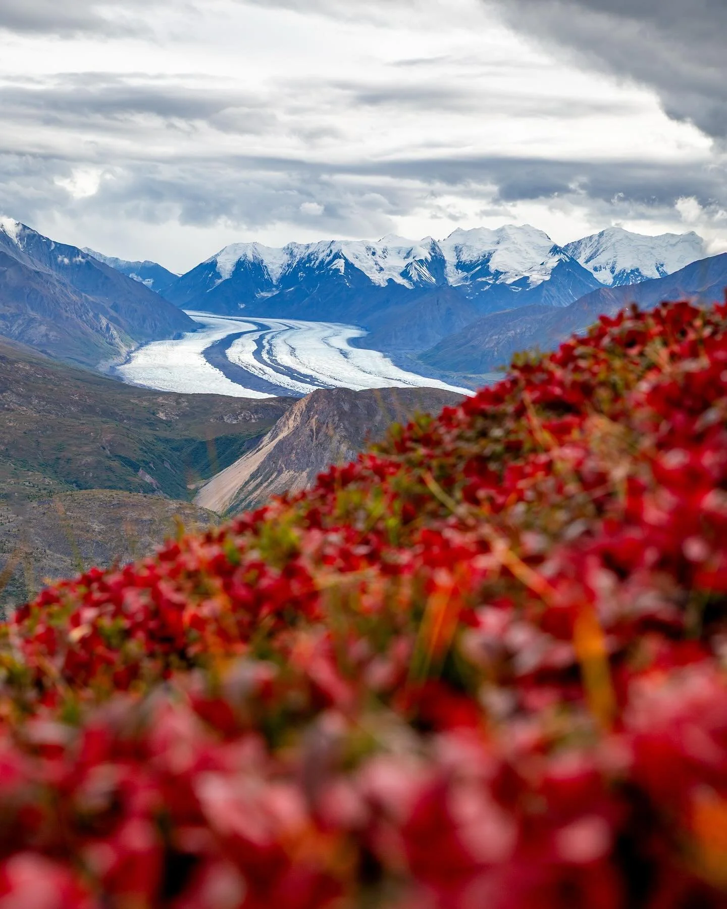 Day 2251: Alaska, pretty much without question, has the most incredible terrain in the US. It has 19 peaks higher than anything else in the Lower 48, more than a dozen major mountain ranges, and 75,000 sq km of glaciers (200 times more than the rest 
