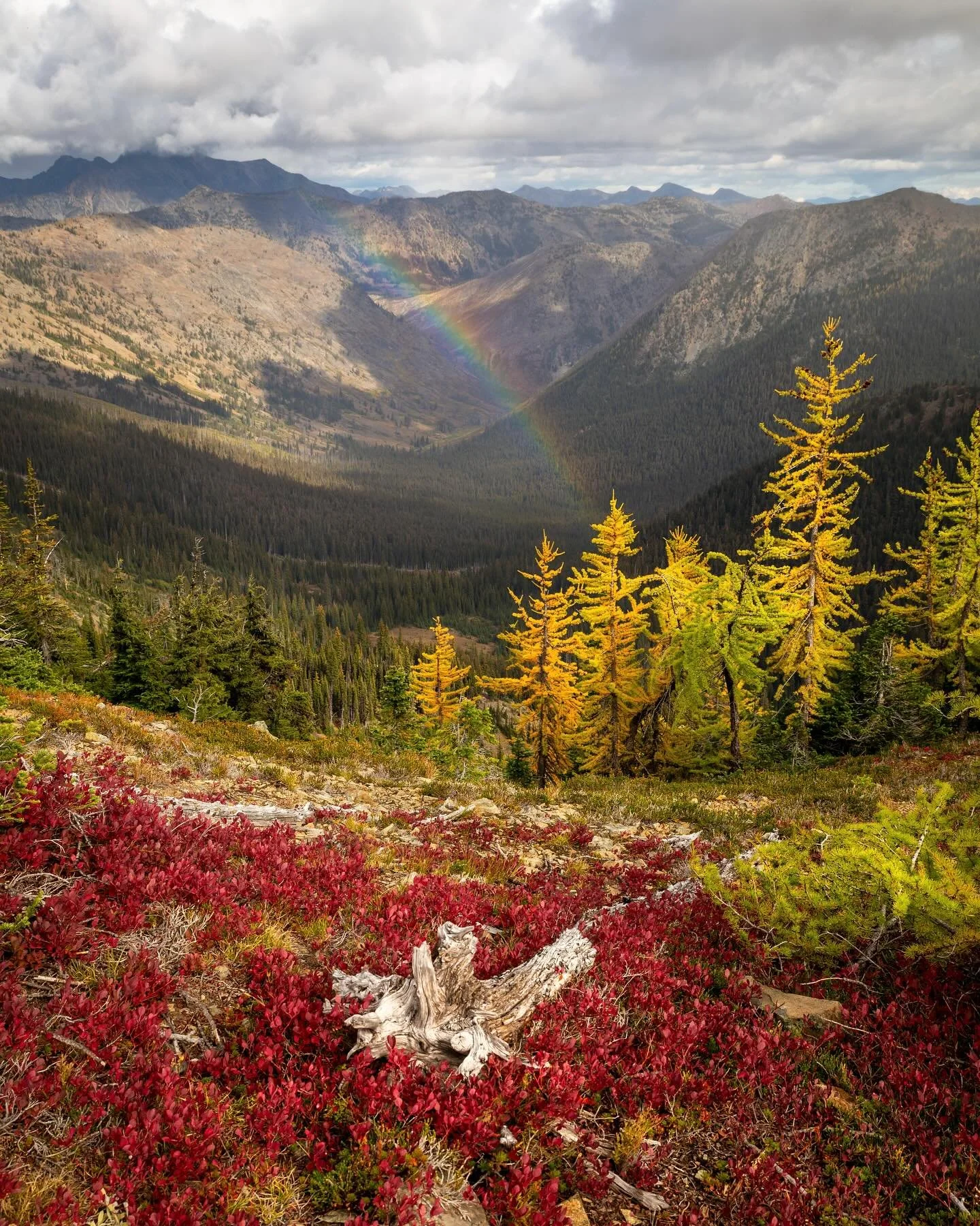 Day 2254: I didn&rsquo;t exactly have a larch snowbow on my bingo sheet this weekend, but in October you never know what magic you&rsquo;ll discover. Some health issues have forced me out of the Cascades for more than a month so it was nice that I wa