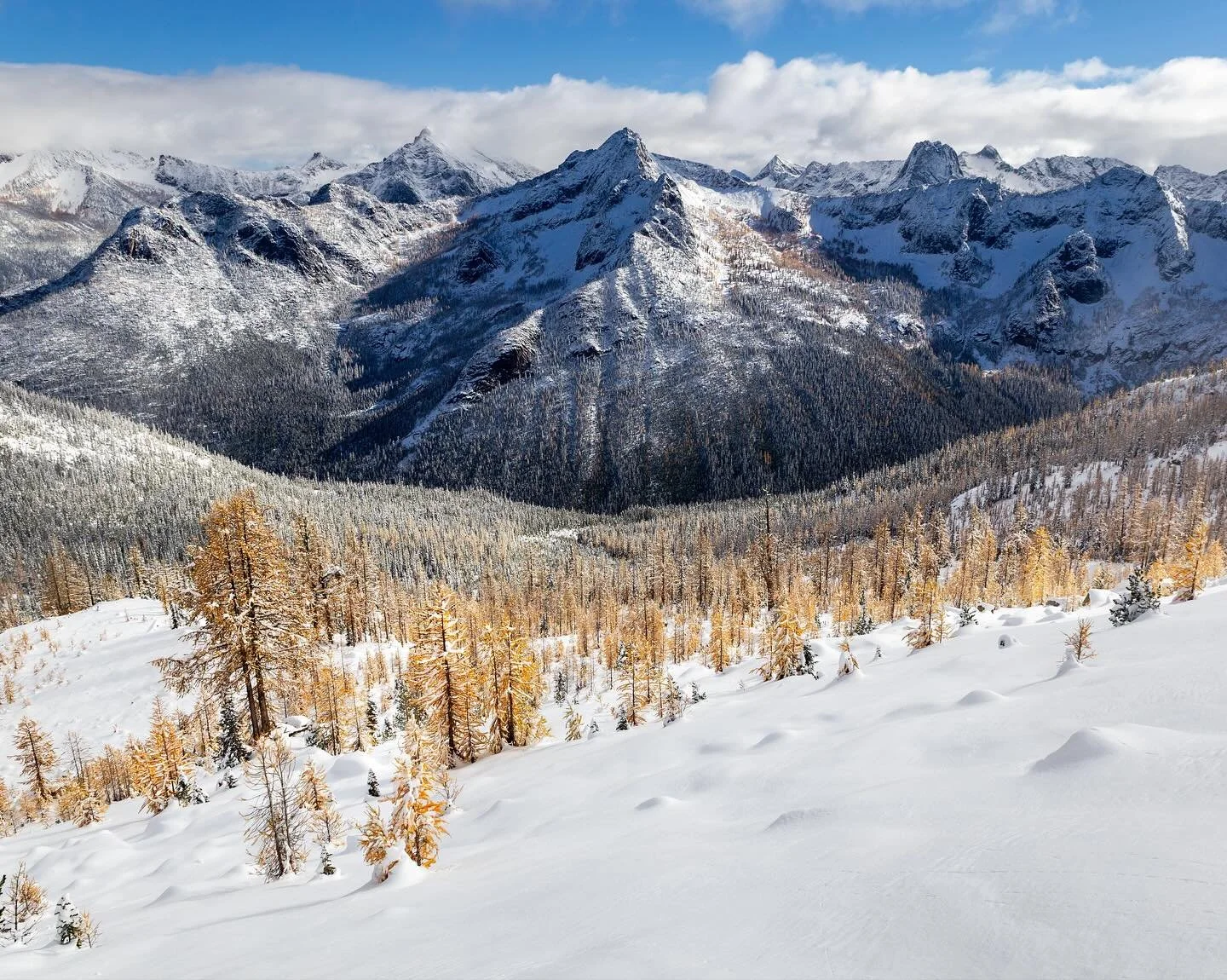 Day 2257: I am always shocked by the impact snow has on a landscape. With a single storm an autumn (or even summer) scene can be winterized. You can go up in the mountains on one weekend and experience July-like conditions and a few days later Januar