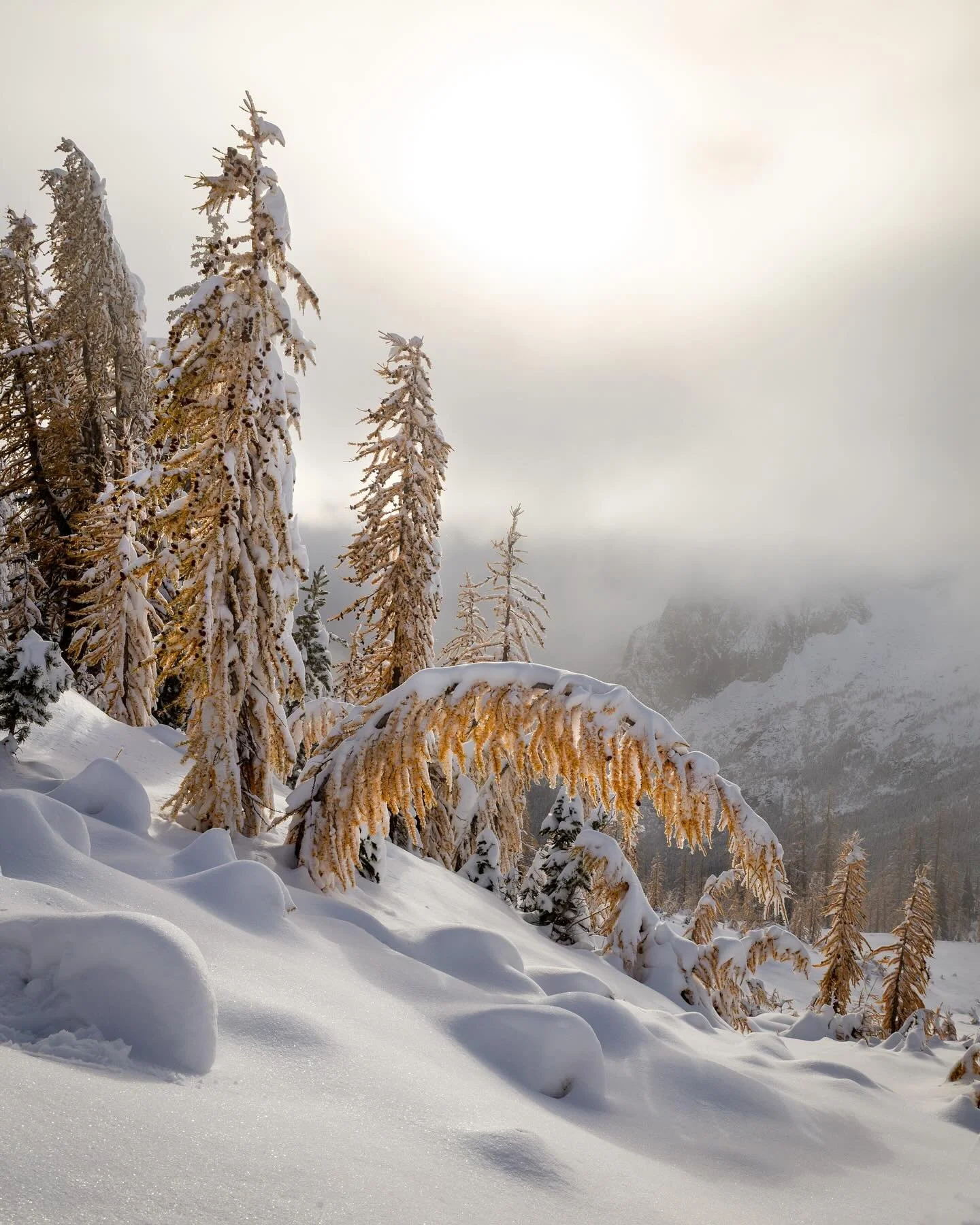 Day 2260: Snow has come early to the Cascades this year. After a few years with abysmal starts to the winter season in the Cascades, we *may* have broken the curse (with an enormous emphasis on may). Right now snow above the 5,000&rsquo; level is any