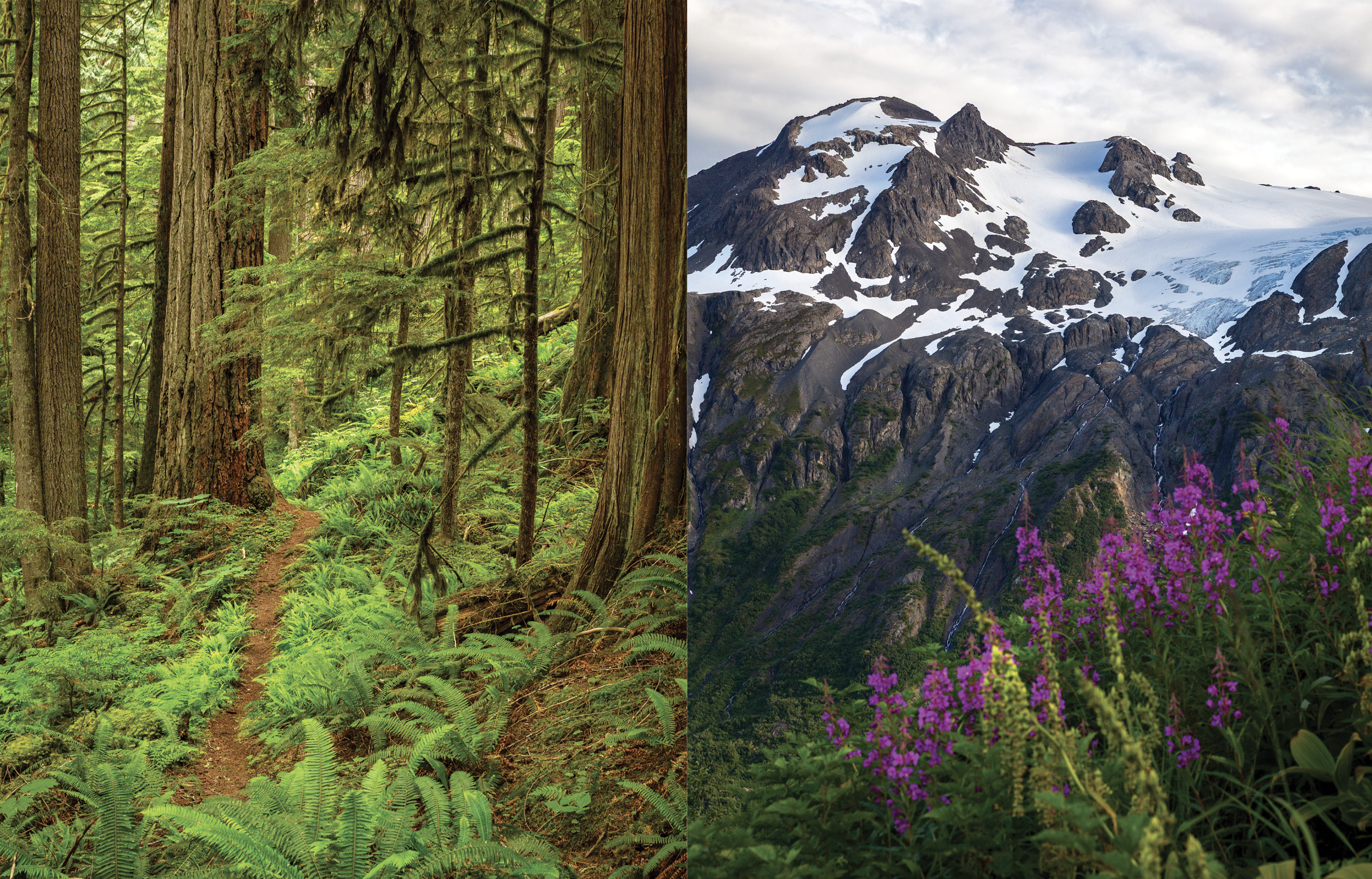 Screenshot 2025-11-24 at 3.49.26 AM.png