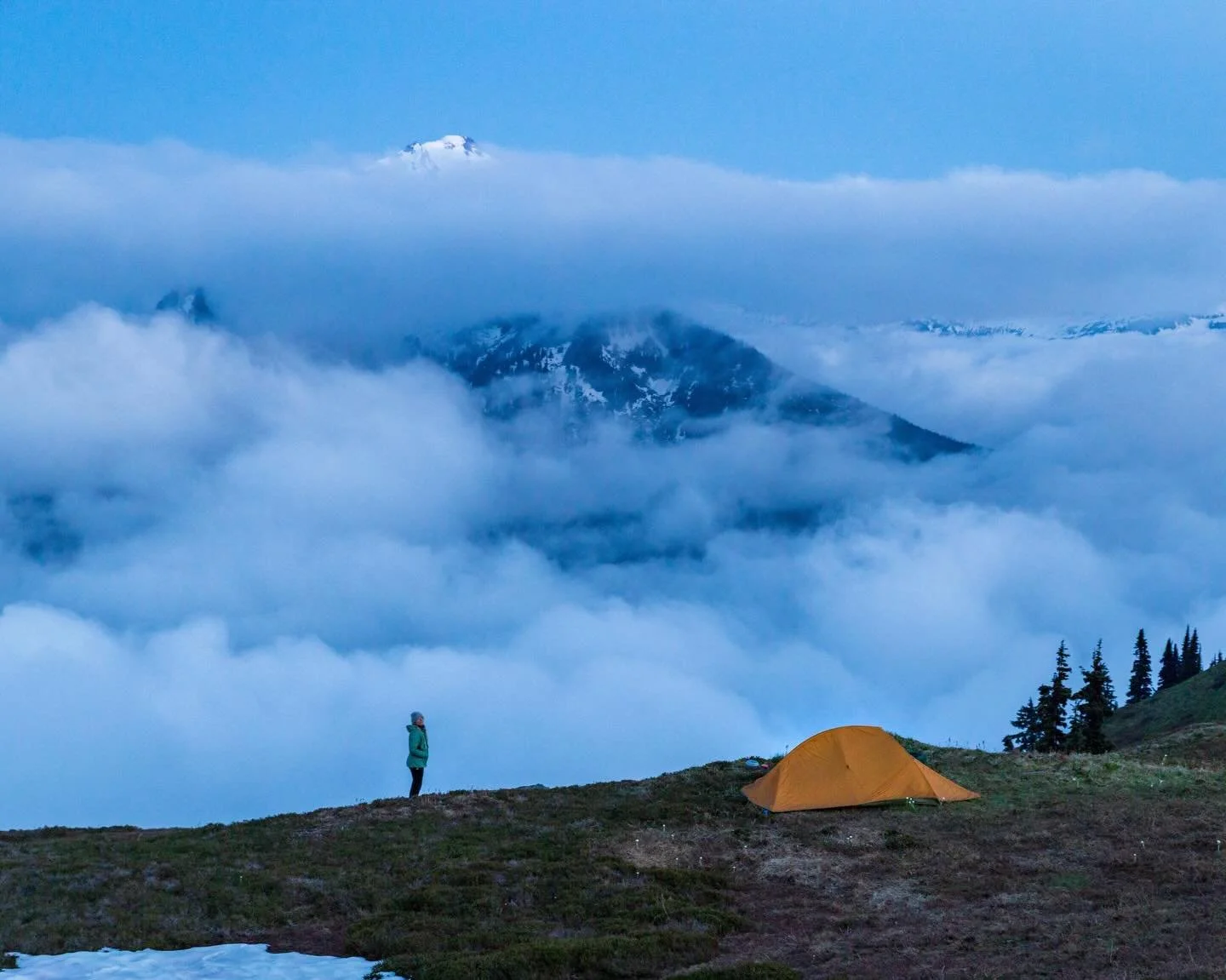 Day 2268: Happy thanksgiving to all who celebrate! I try to be grateful every day I wake and have the opportunity to explore our beautiful world, but I&rsquo;m feeling extra thankful as we get to late November of 2025. I had a weird health problem at