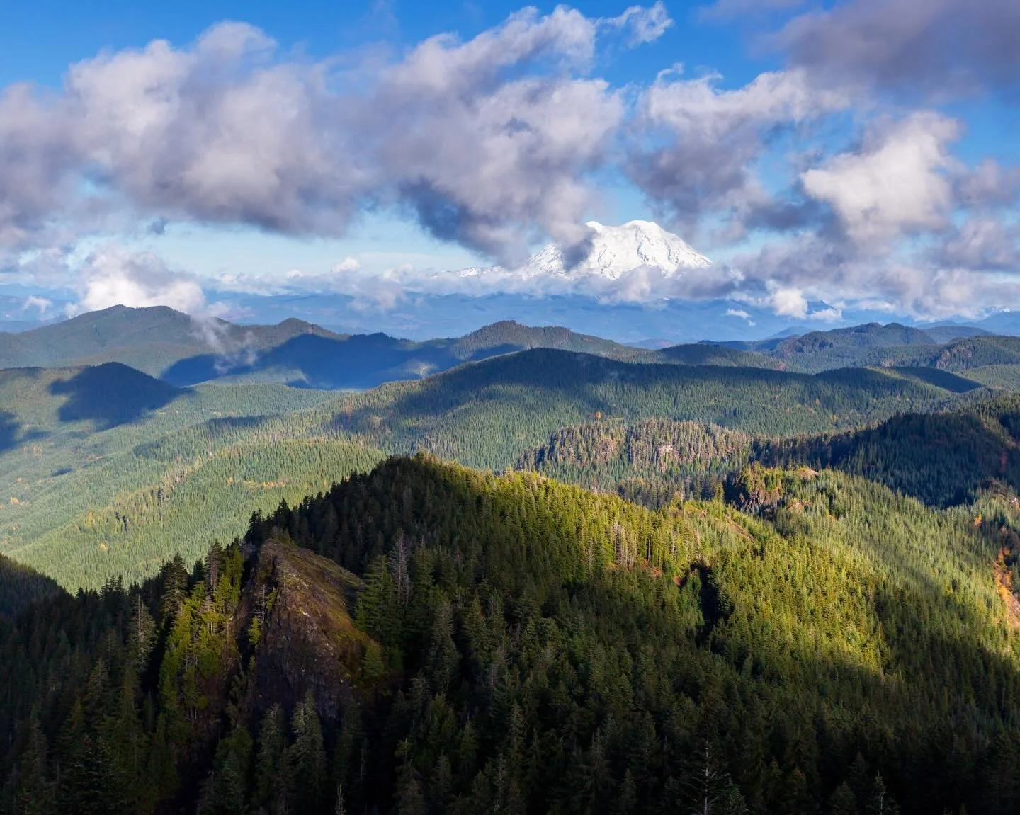 Day 2272: I find myself sometimes in questionable terrain. Sure, I could be talking about the sort of steep and technical terrain where you&rsquo;re questioning your chances of survival, but in this case I&rsquo;m talking about the question of owners