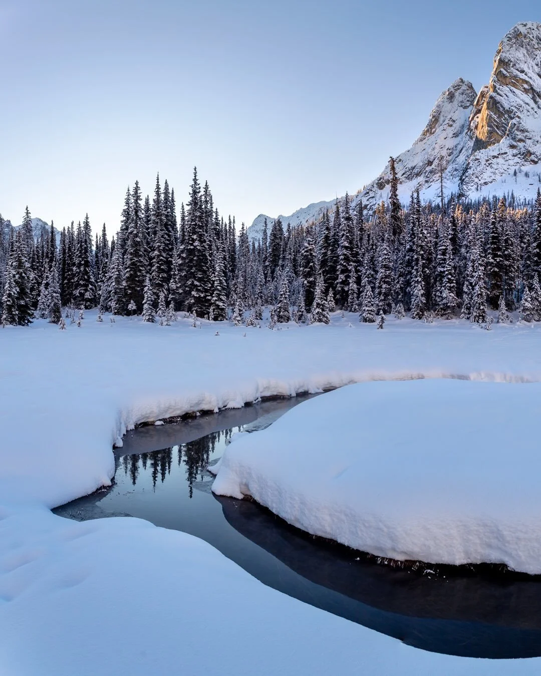 Day 2275: Up until the last few hours there was pretty much only one place getting snow in the entire state of Washington (other than the volcano summits) and that was the northeastern Cascades. As the atmospheric river has obliterated the scraps of 