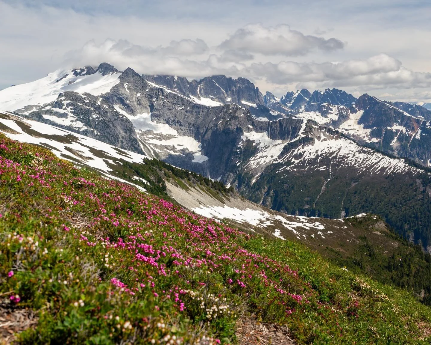 Day 2290: I&rsquo;m in the process of sharing some of my new years resolutions on here&mdash;partially to give background into some of my motivations, but also to put them out publicly in writing so there&rsquo;s some accountability (although minimal