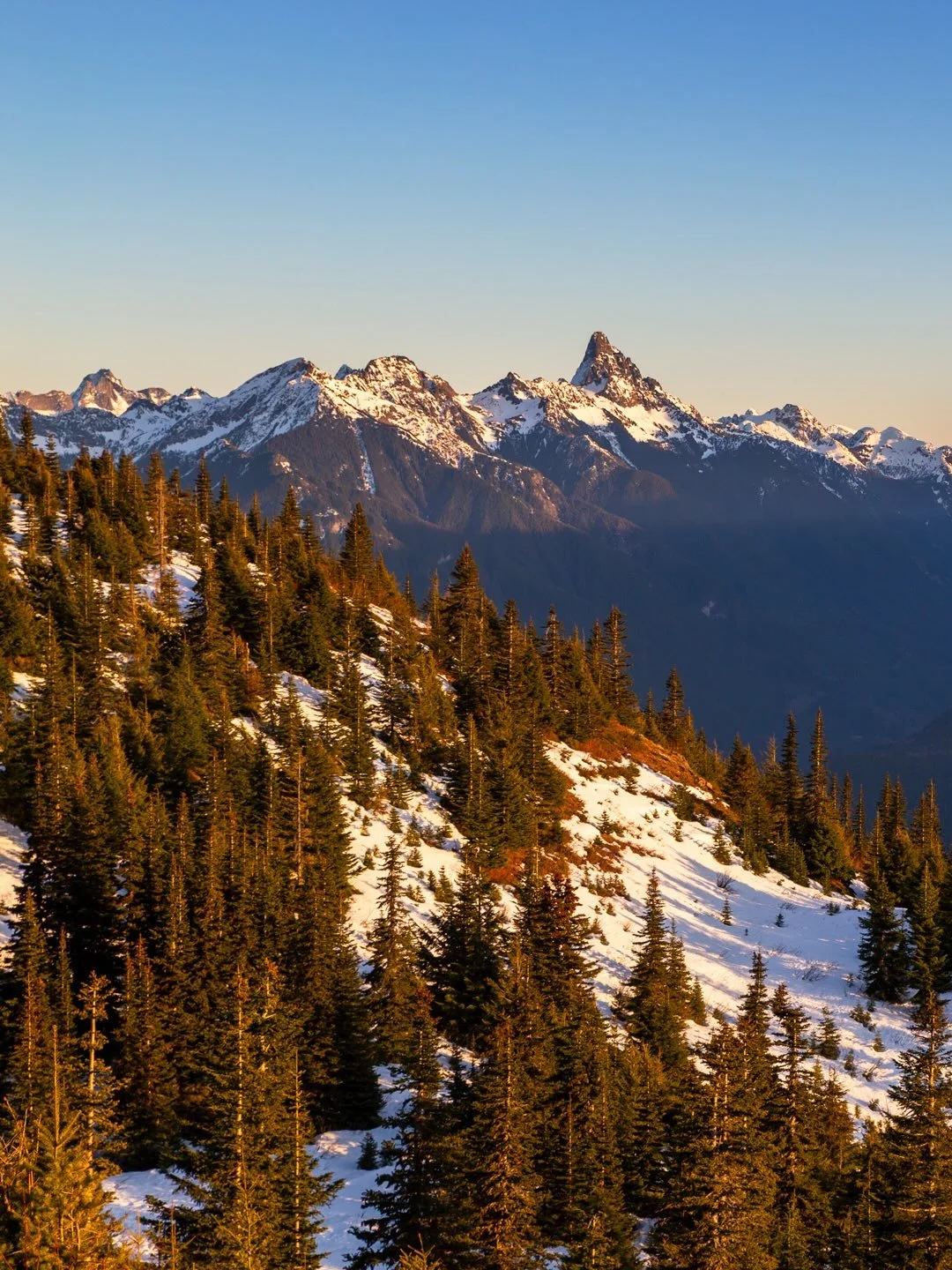 Day 2300: So far winter has been missing across the west. Sure, we&rsquo;ve had a couple snow storms blow through the mountains and we had an inversion in the lowlands last month which brought some of the first freezing lows of the winter to areas, b