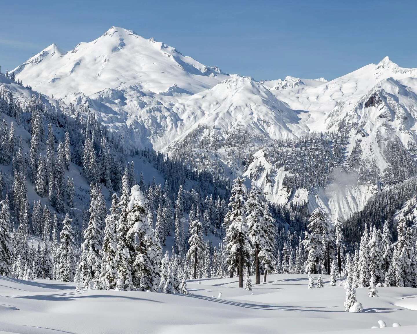 Day 2302: This weekend the snow up in the Mount Baker area was the stuff of an artist&rsquo;s dreams. The temperature could have been colder and the snow could have been deeper, but I can&rsquo;t imagine a softer, cleaner, more untouched canvas than 