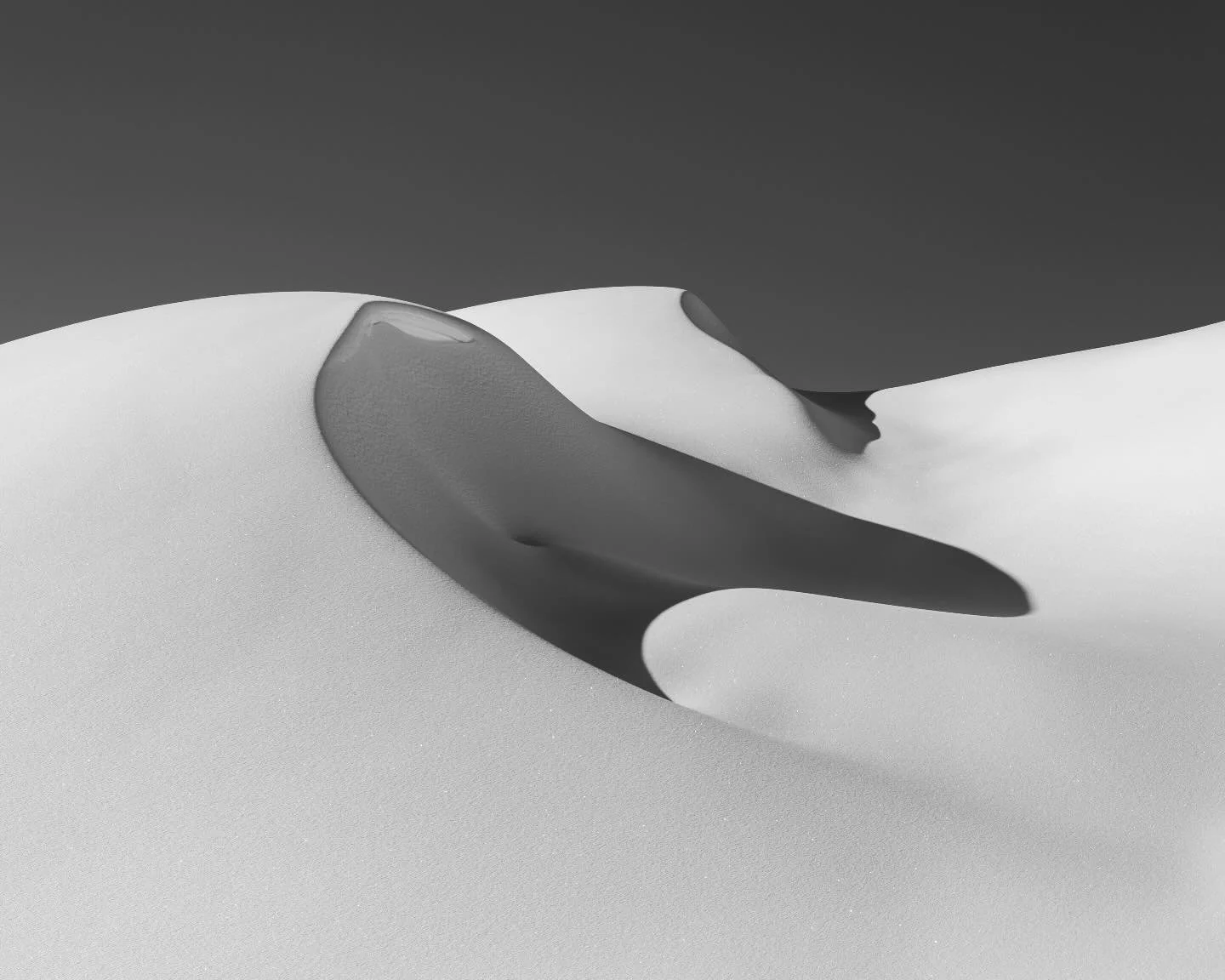 Day 2306: As a photographer it&rsquo;s important to appreciate the small scenes. Not every day is grandiose, nor everything beautiful the size of a mountain. In the last couple of years I feel like I have regressed in my appreciation of the minute de