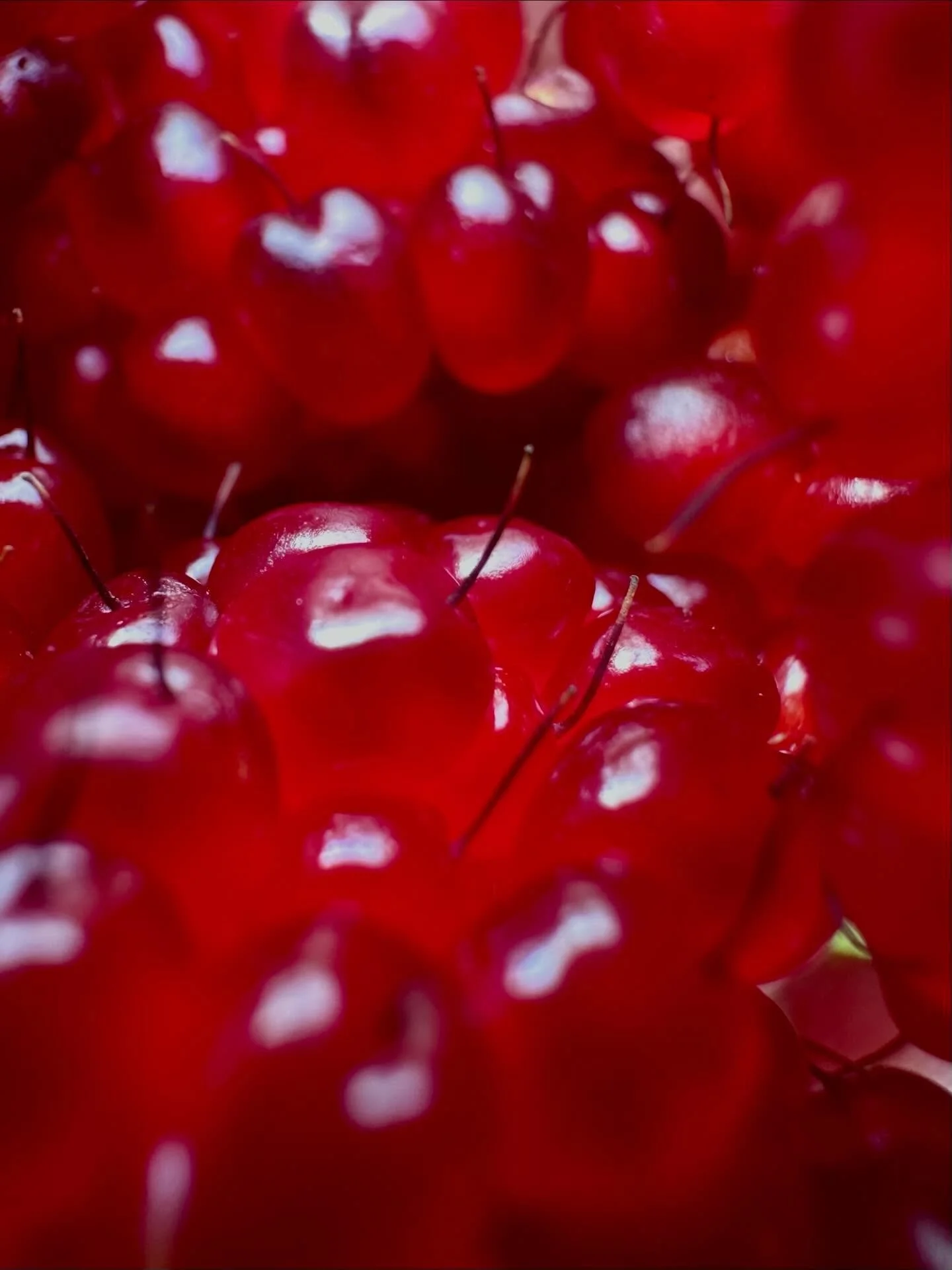 Day 2318: I normally post grand landscapes on here and I think if I could choose one thing to search out for the rest of my life it would be those wide, all-encompassing views. The ones that make your jaw drop no matter which direction you glance. Bu