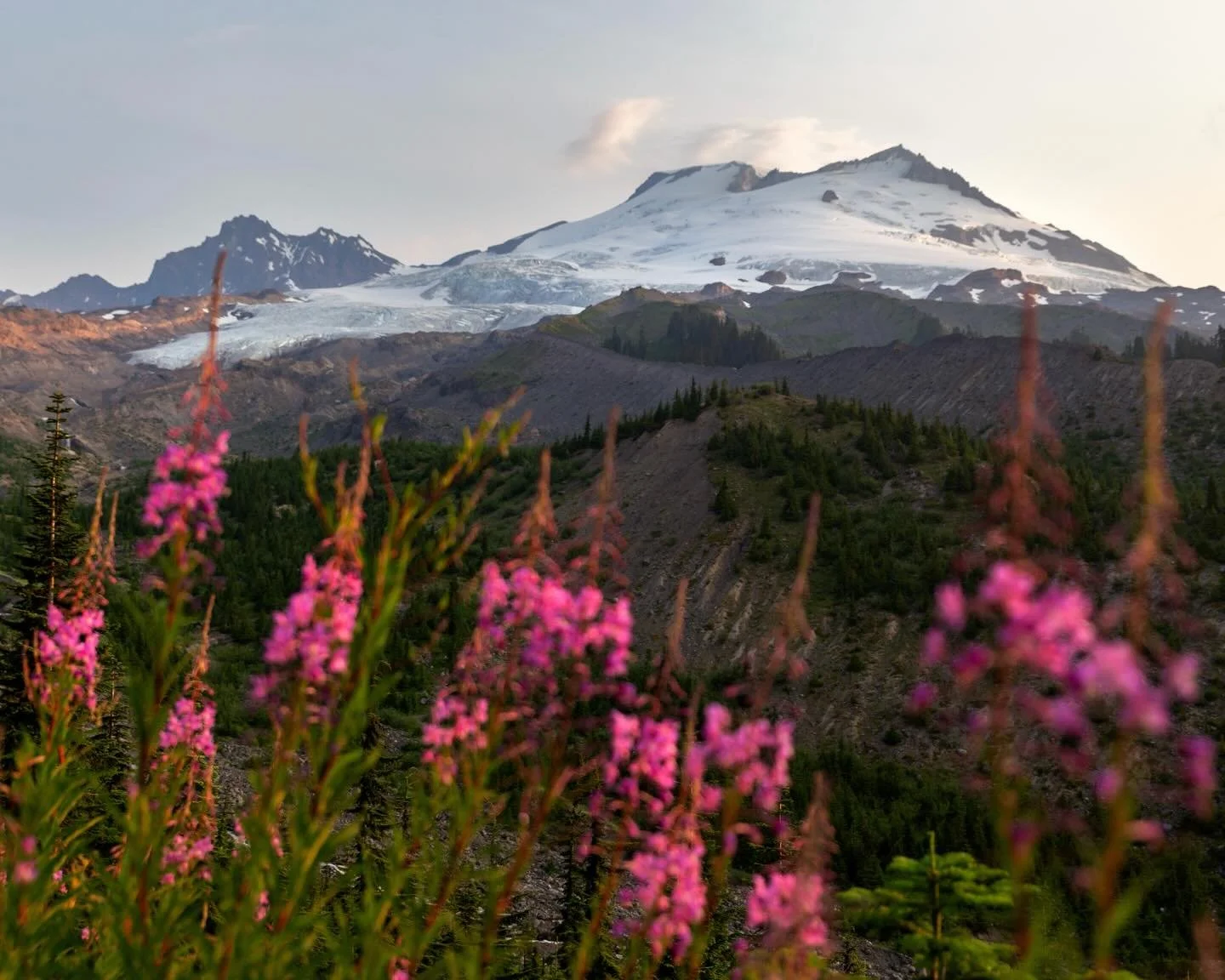 Day 2334: The Cascade glaciers will likely see one of their worst melt summers on record. We are entering the summer with one of the worst snowpacks in the Cascades in the last 50 years and most  climatological signs point towards another record hot 